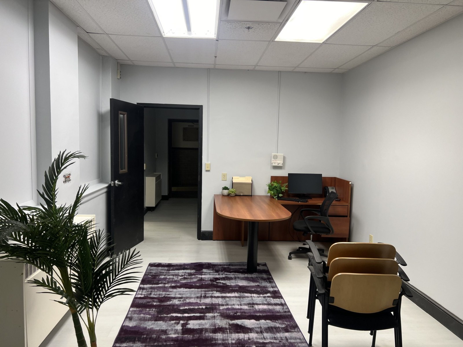 Office room with a desk, computer, chairs, potted plants, and a patterned rug.