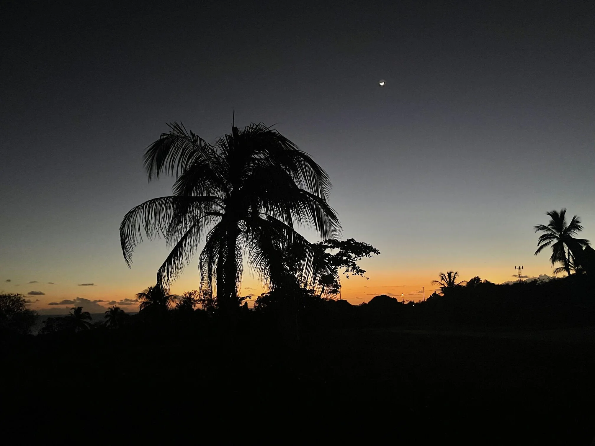 sunset photo of st lucia vacation with a silhouette of a coconut tree - st lucia airport transfer