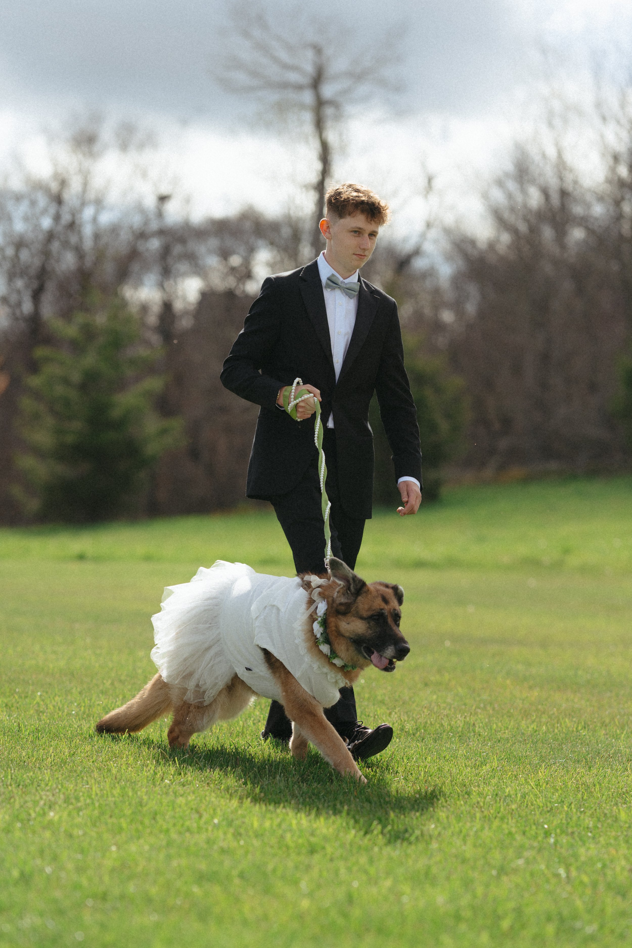A young man in a tuxedo and bow tie walking a dog on a leash in a park with trees and grass, overcast sky.