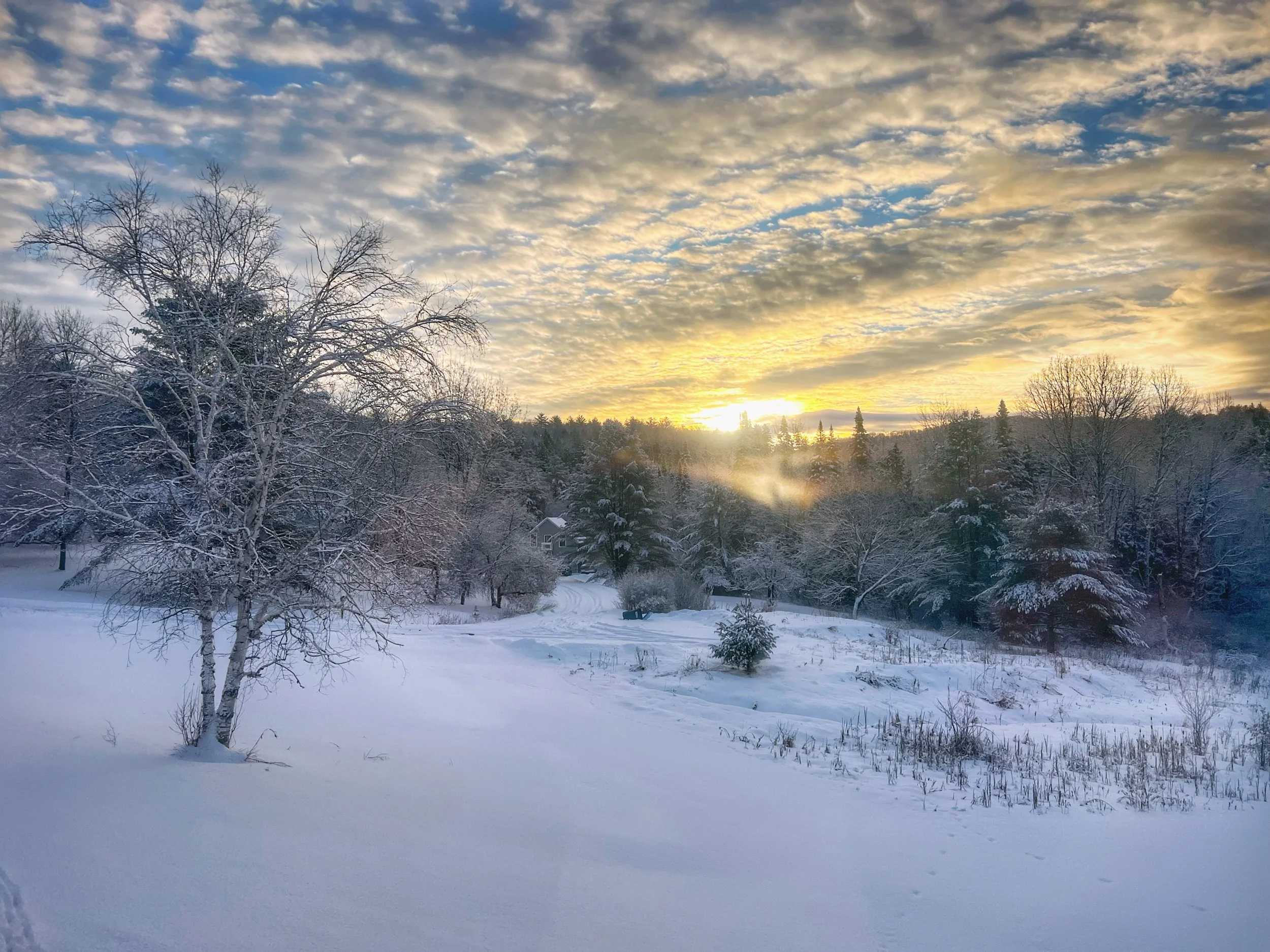 A Bridge over Ice (a poem for alex pretti)