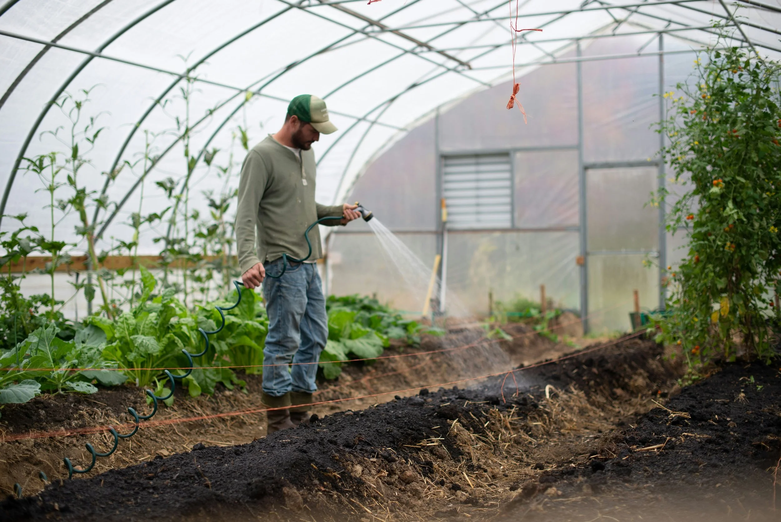 A Call to Action: The Agrarian Community That America Needs In This Moment