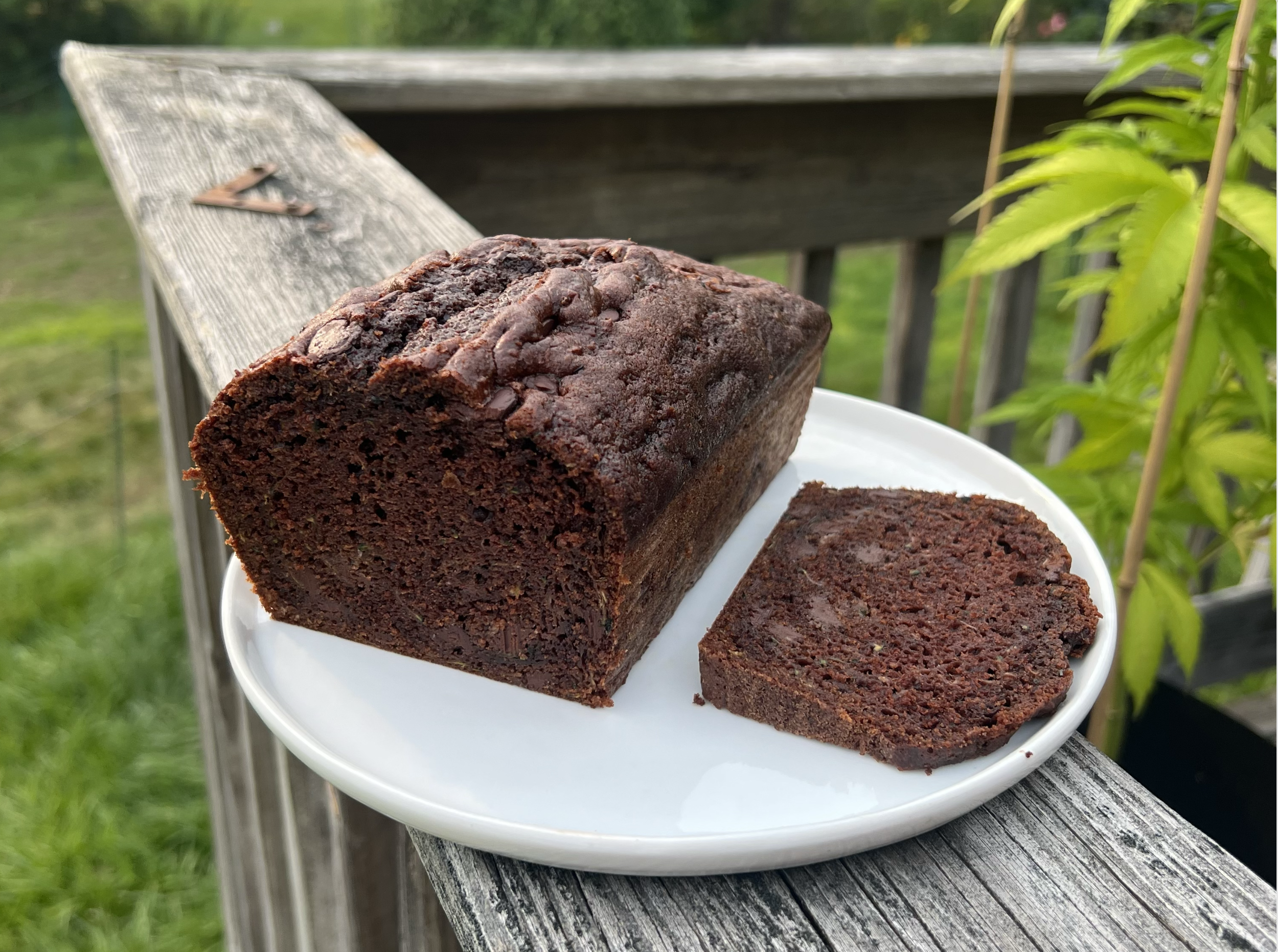 Chocolate Zucchini Protein Loaf