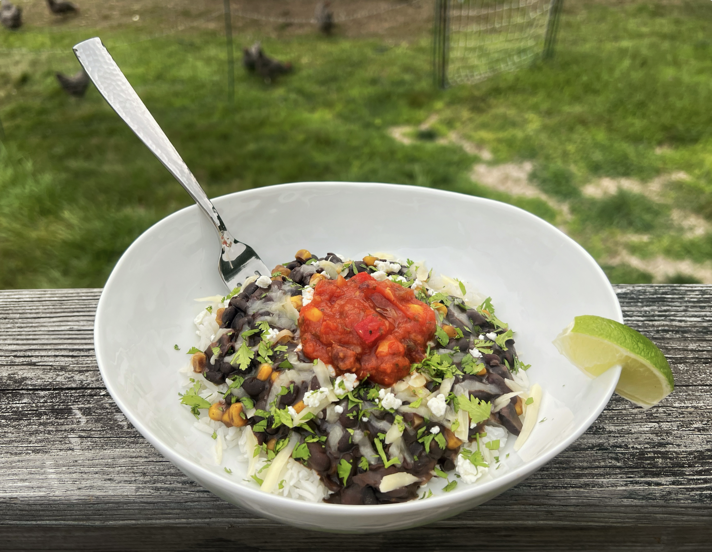 Instant Pot Bougie Black beans