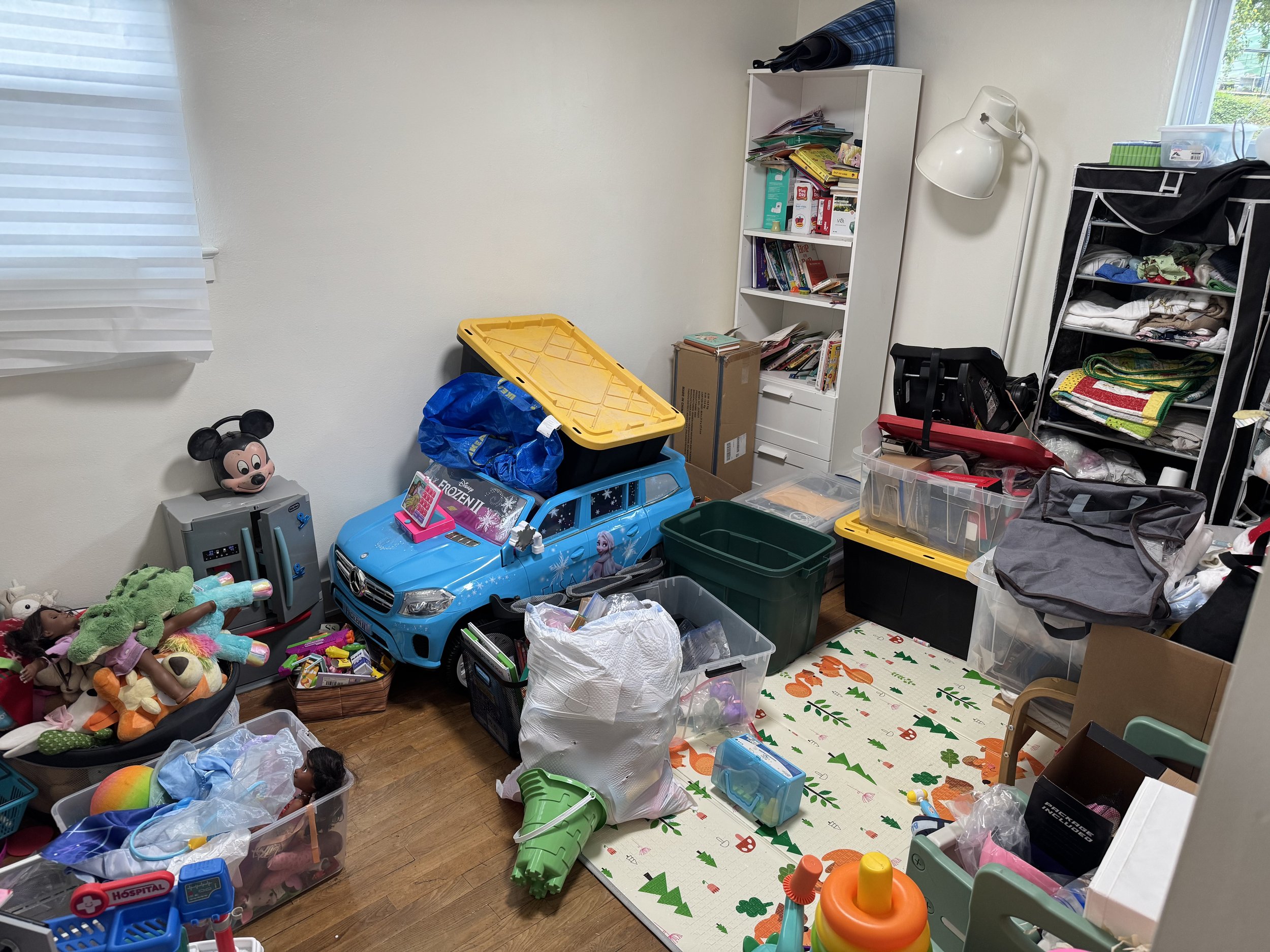 ToServCo- Declutter and Organize-Before