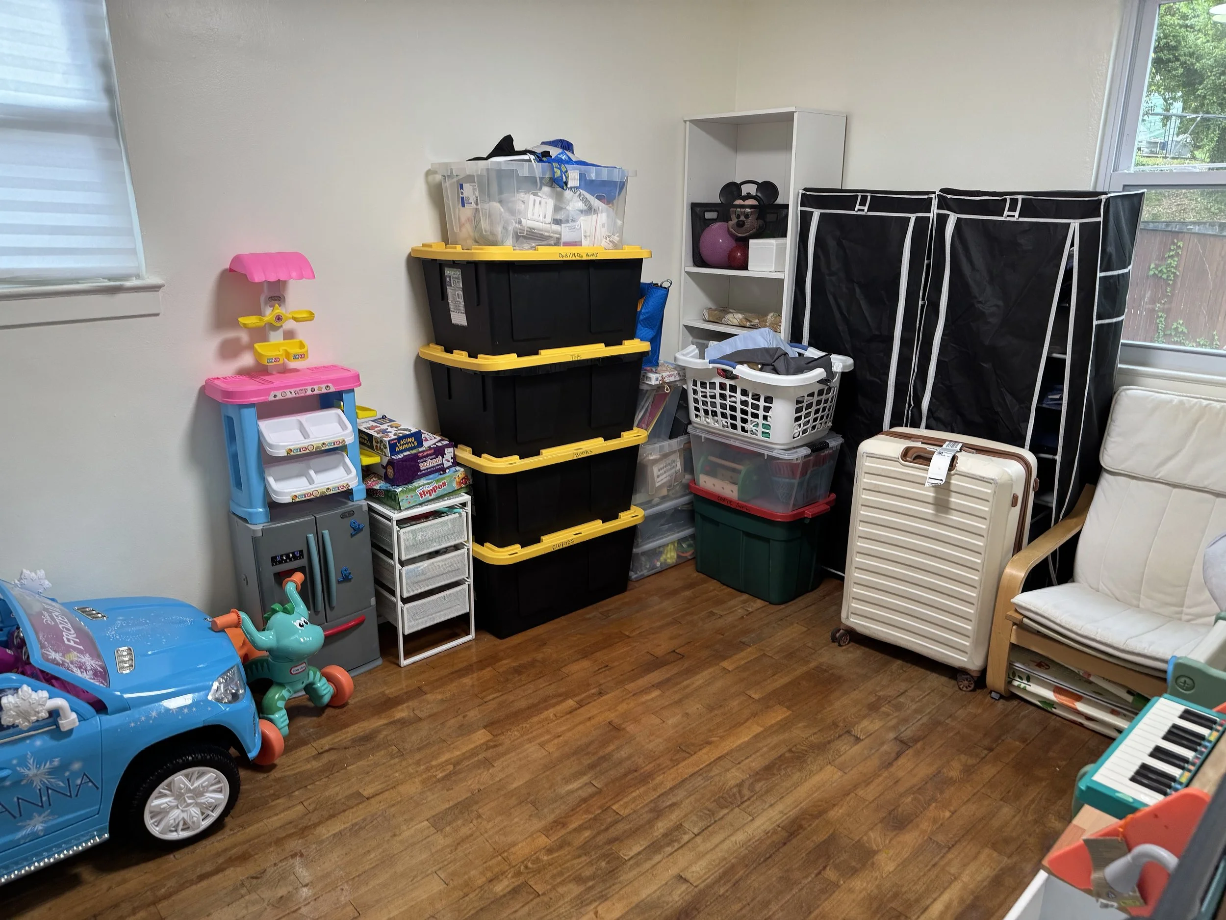 ToServCo- Declutter and Organize-After