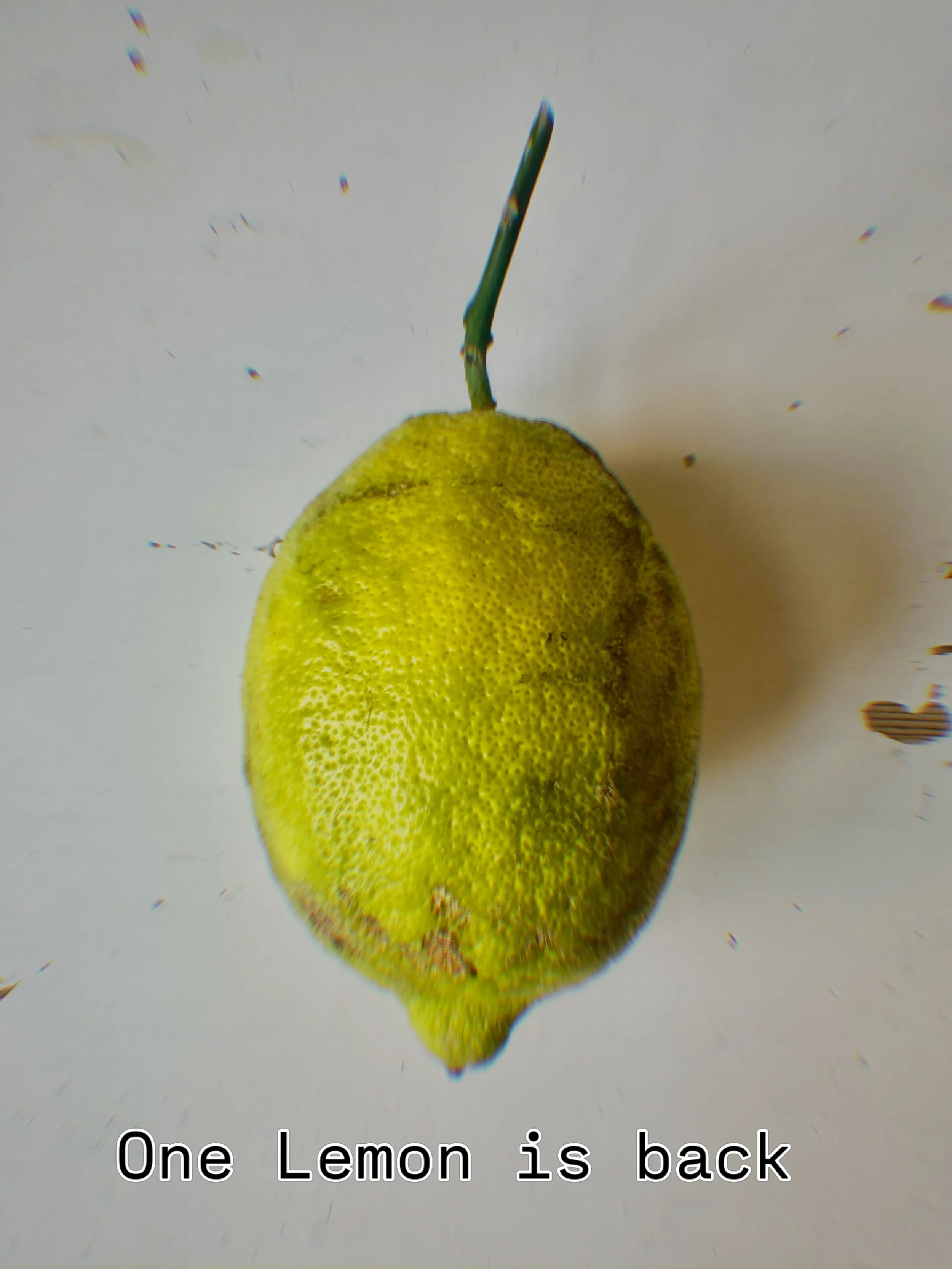 One Lemon is back from holiday 🍋 and ready for new workshops, teambuilding, private dinners and catering. If you are interested in booking an event please write: maj@onelemon.dk #teambuildings #cookingincopenhagen #cookingtogether #foodworkshops #fo