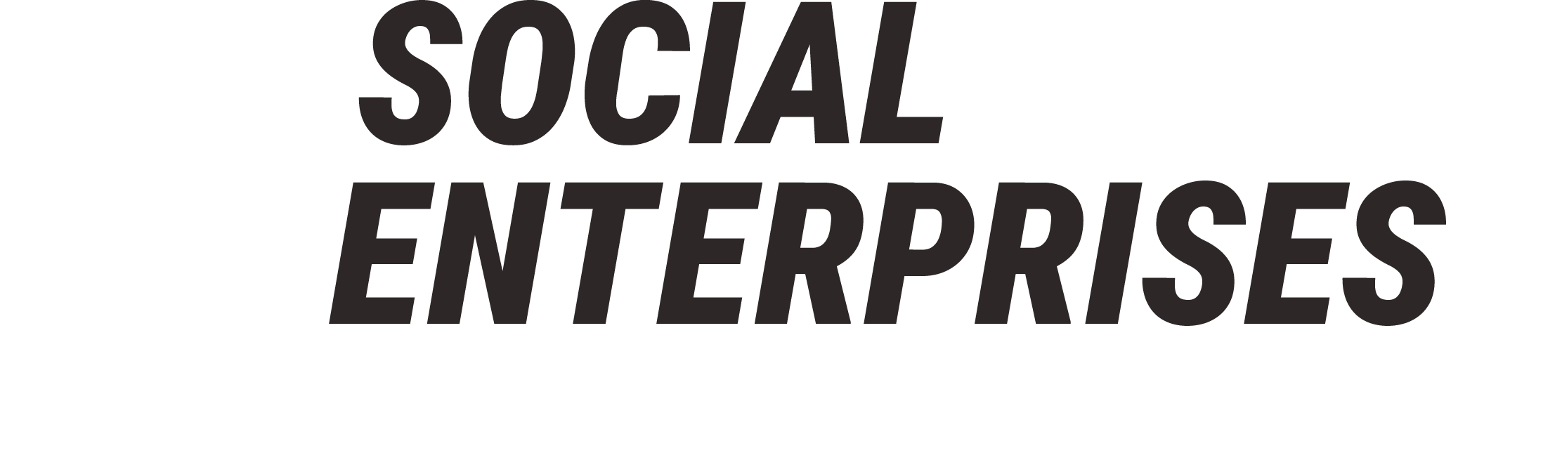 Social Enterprises, Inc | Social Impact Events