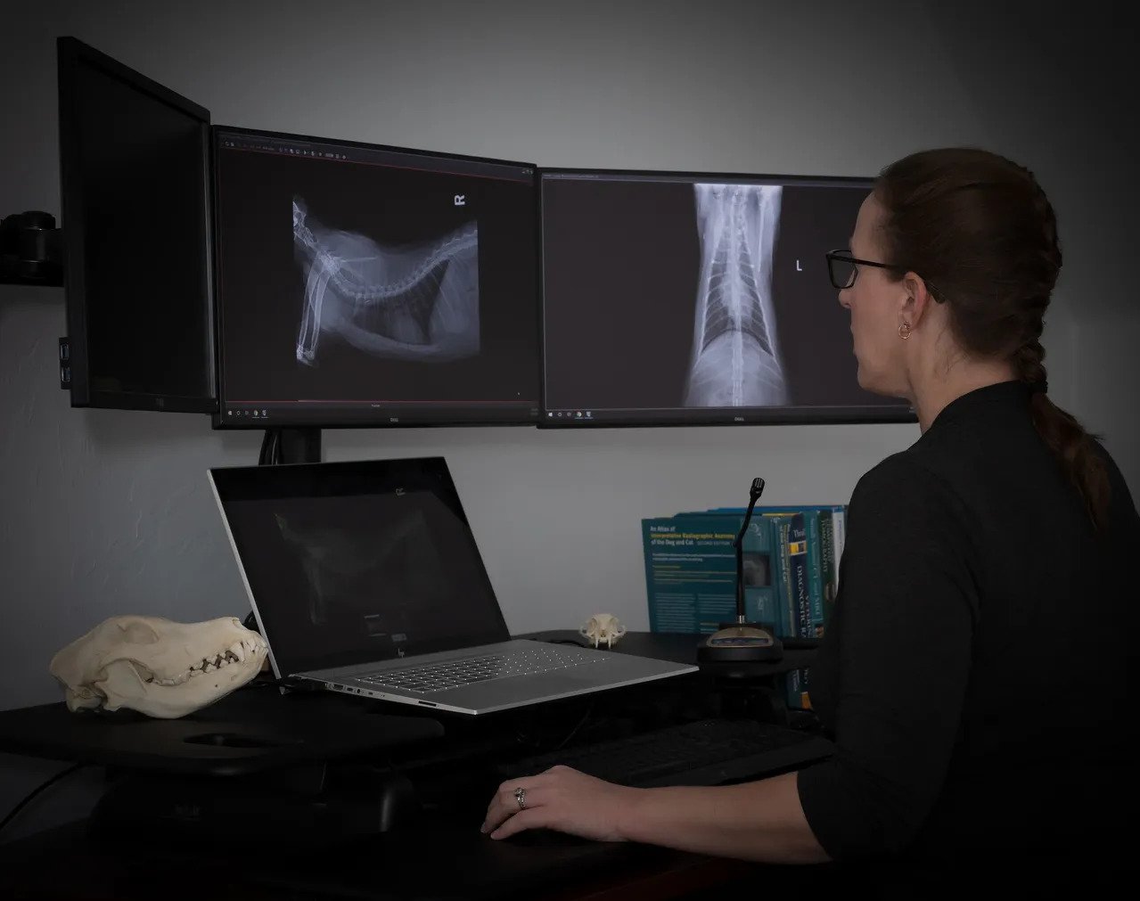 Board certified veterinary radiologist reviewing animal imaging scans at OVDI in Oklahoma