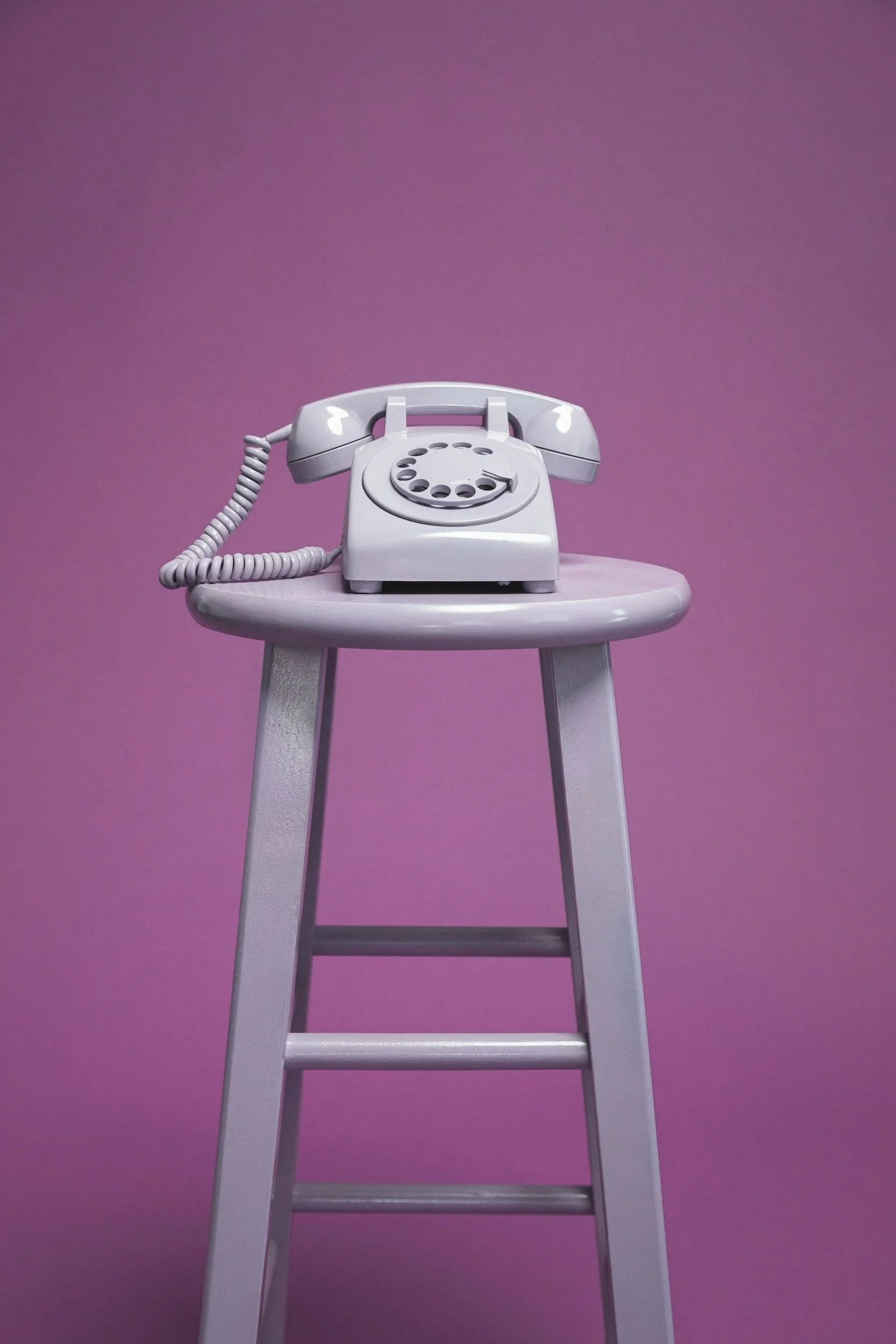 Call OVDI to schedule a pet ultrasound appointment in Edmond, Oklahoma