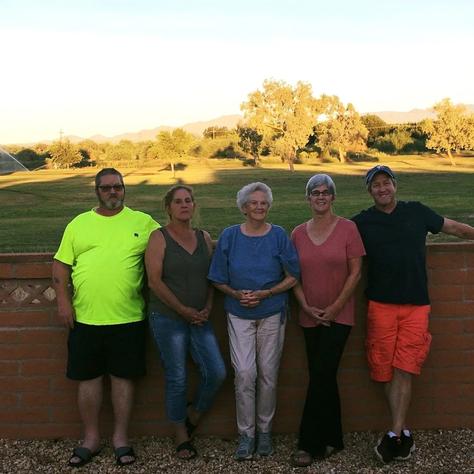Gaggle of Hudsons