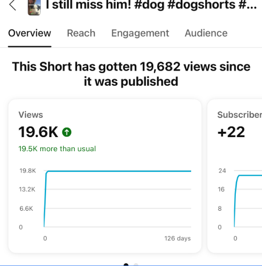 Social media analytics example showing increased video reach, audience engagement, and subscriber growth from short-form content strategy.