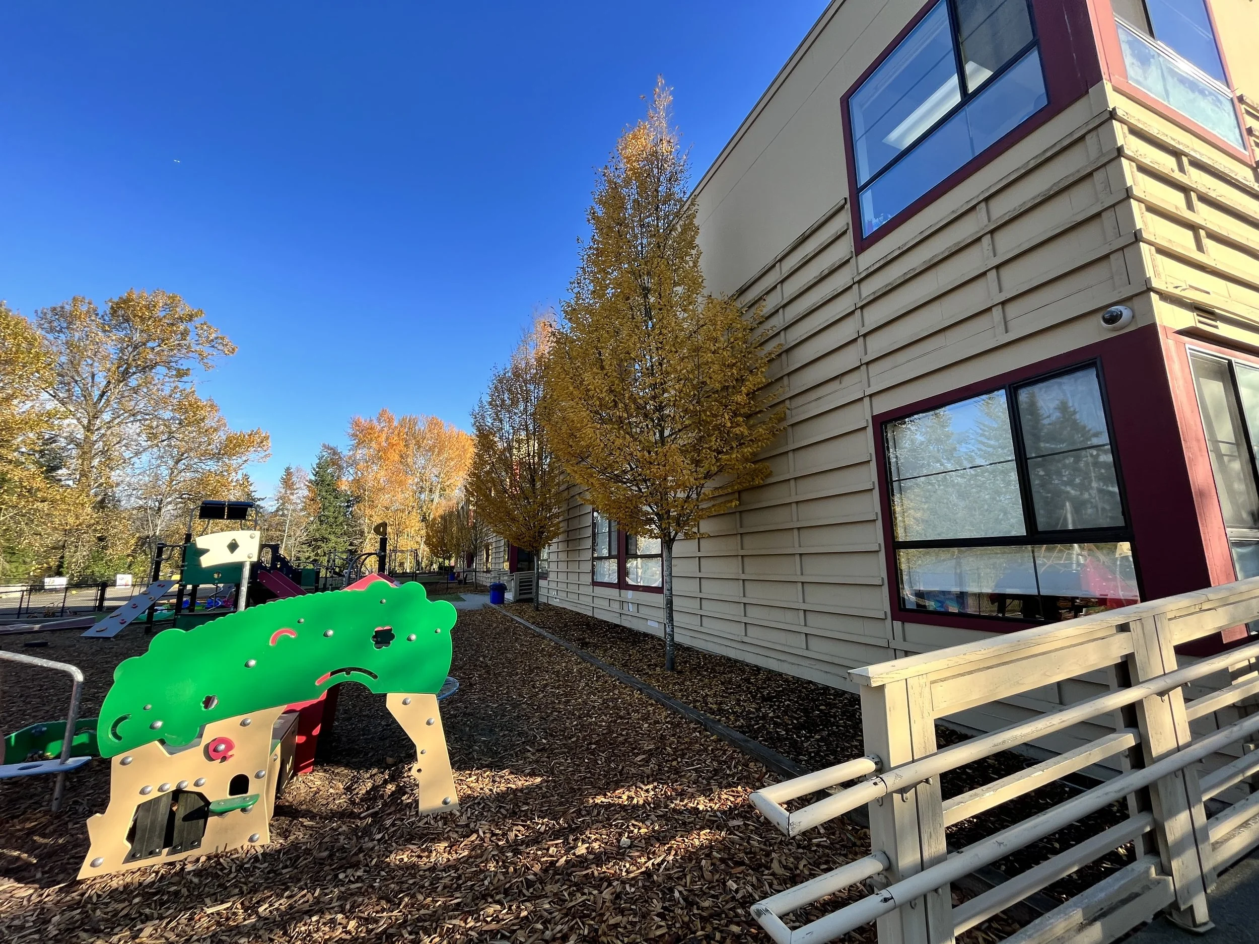 Colorful playground equipment and fallen leaves on the ground outside of a modern building with large windows, surrounded by trees with autumn foliage, under a clear blue sky.