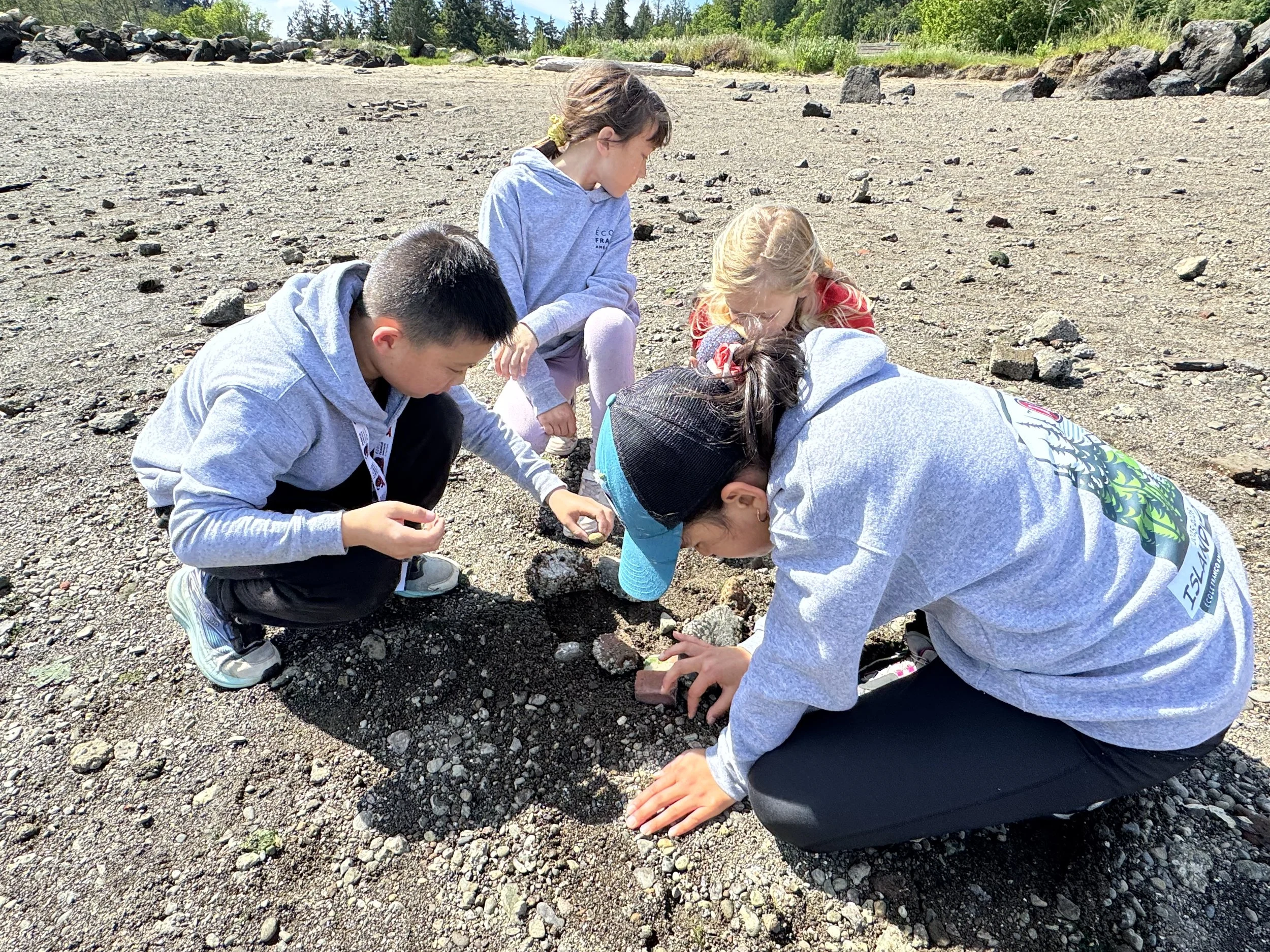 Group of children exploring rocks and pebbles on a sandy beach outdoors on a sunny day.