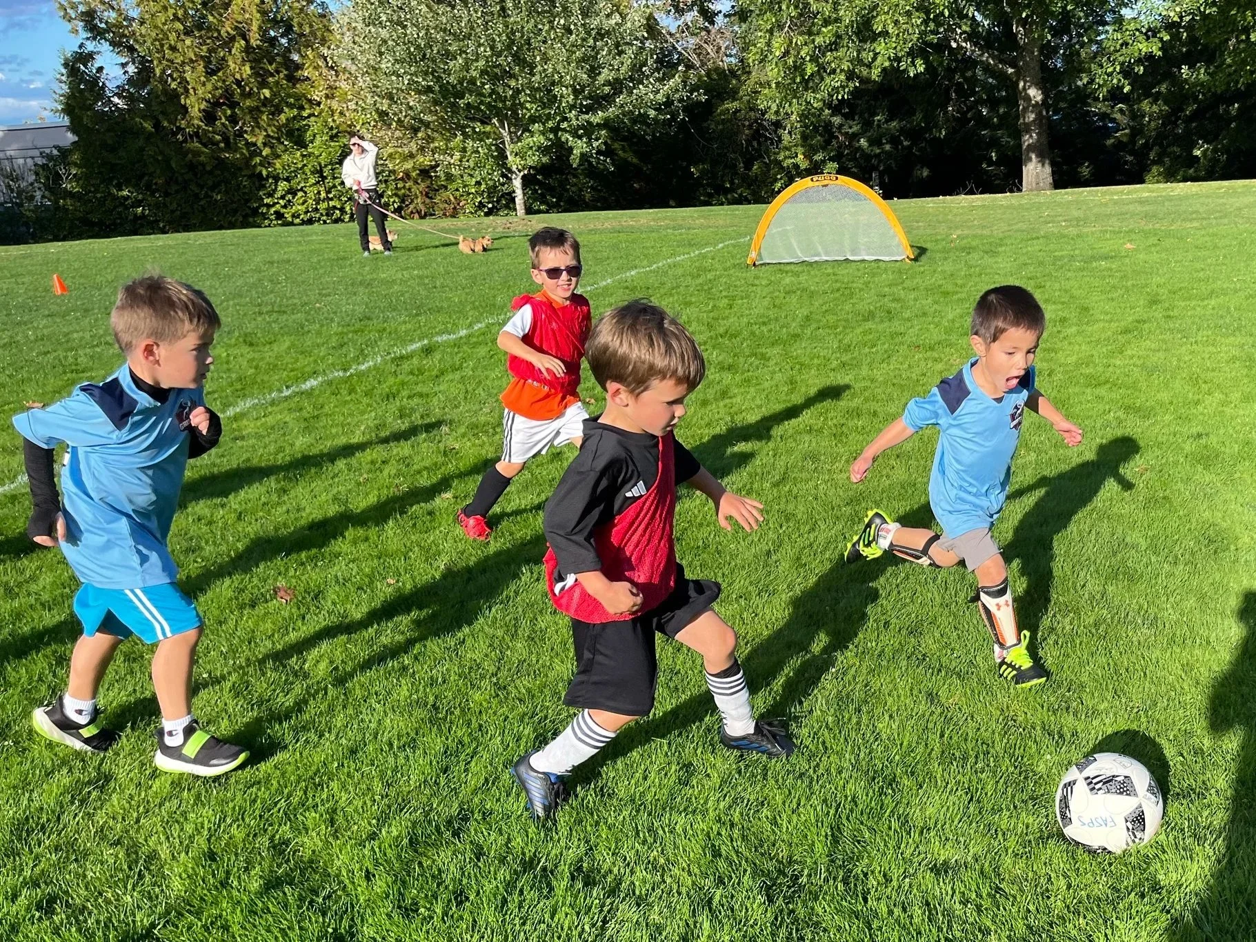Kids playing soccer on a grassy field with a small goal in the background, one kid kicking a soccer ball, and a woman walking a dog in the distance.