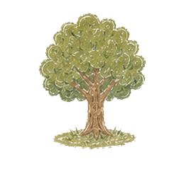 Illustration of a large, leafy green tree with a sturdy trunk and grass beneath it