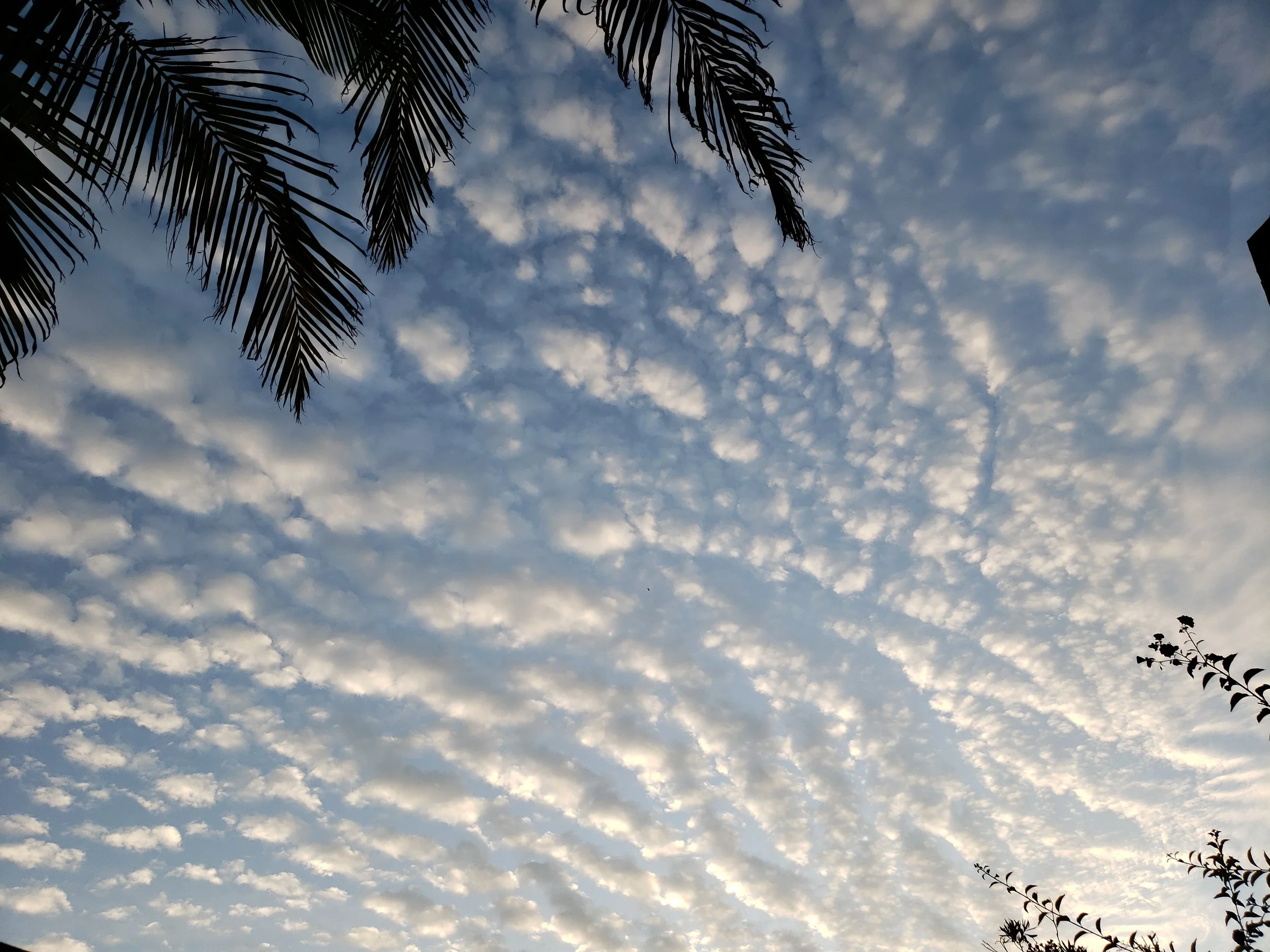 Mindfulness-Based Stress Reduction (MBSR)