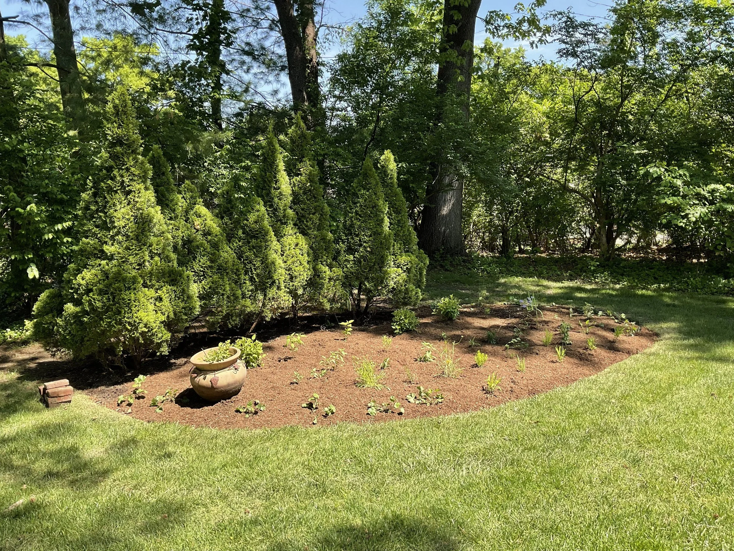 Creekhaven Project