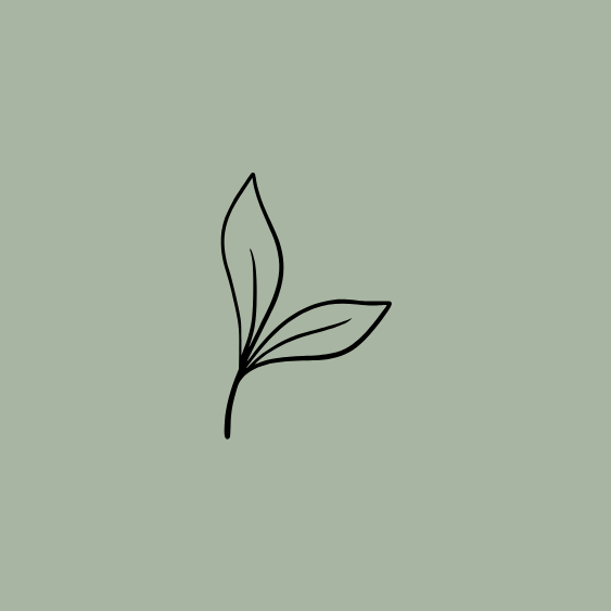 Line drawing of a small plant with two leaves on a light green background.
