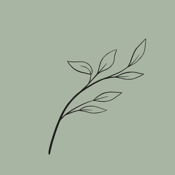 A simple line drawing of a branch with leaves on a light green background.