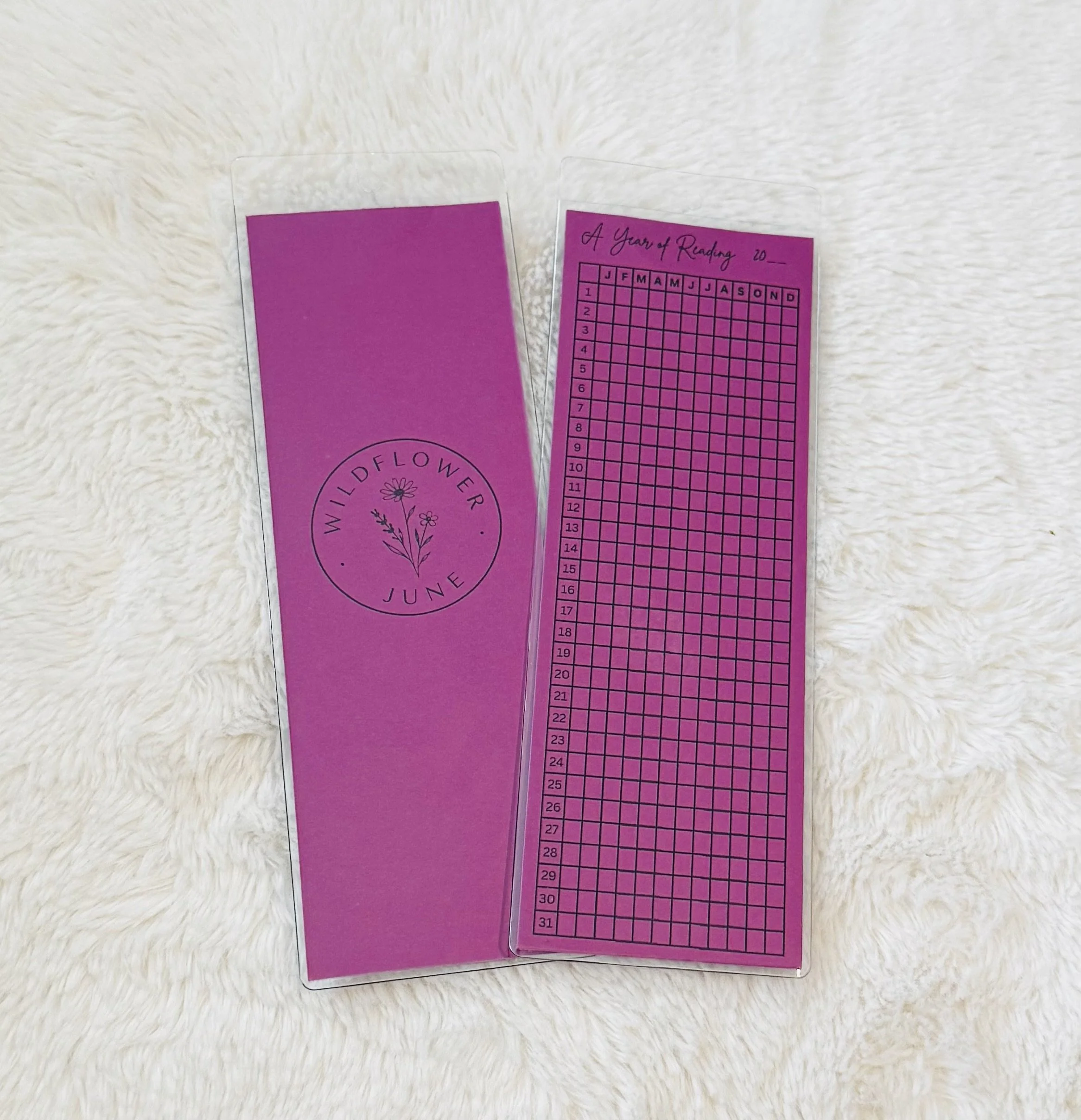 Orchid.jpeg