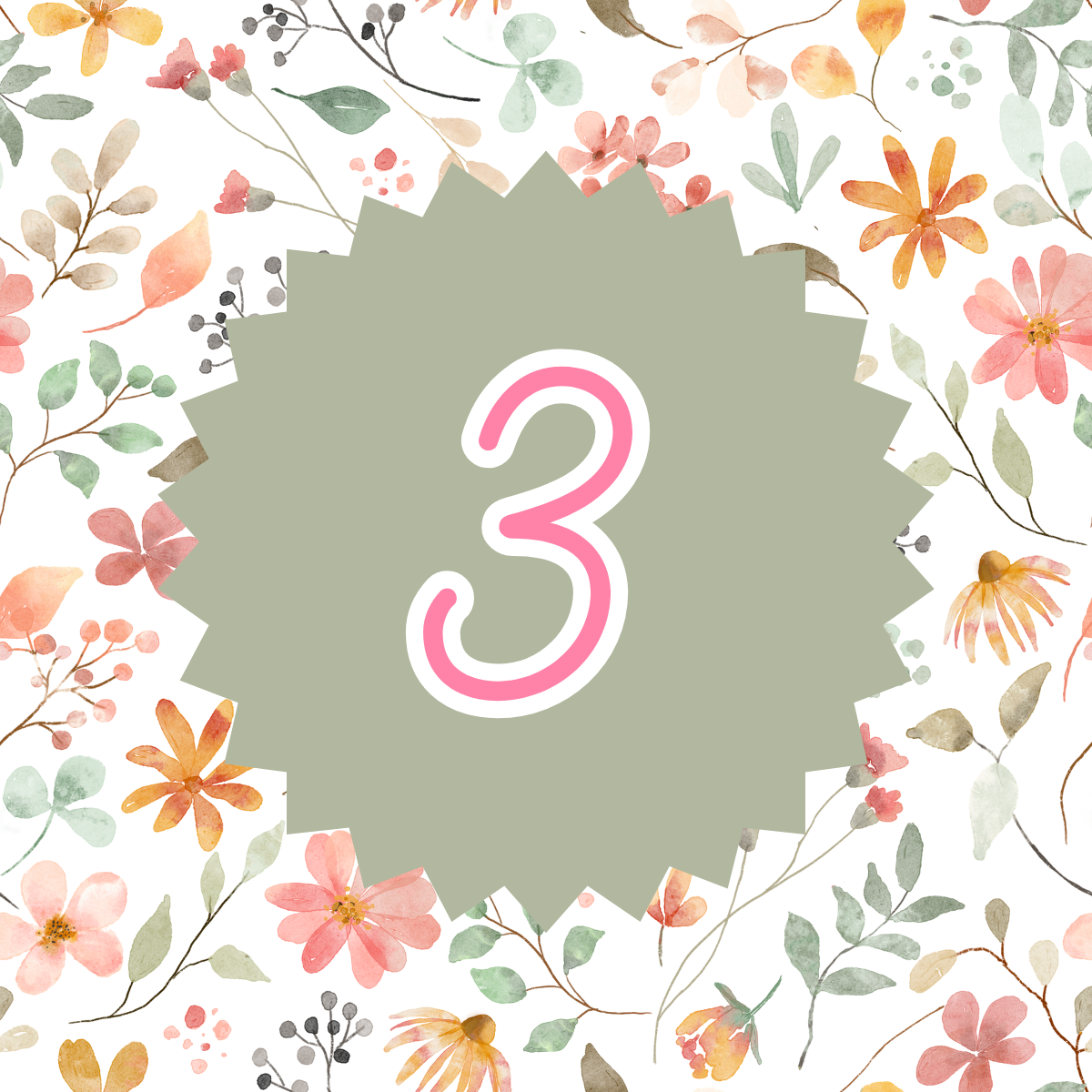 1 (3).png
