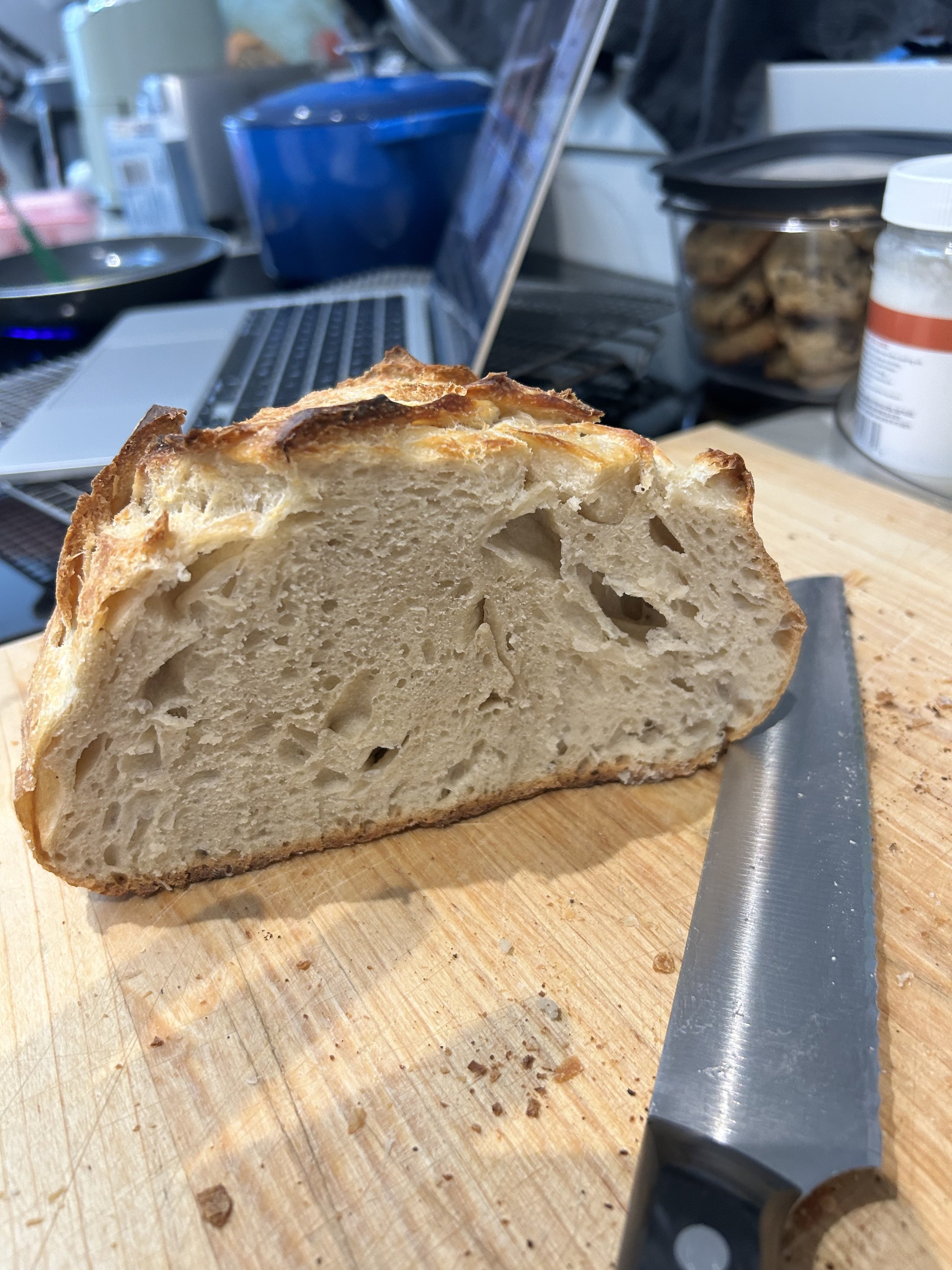 Sourdough Loaves