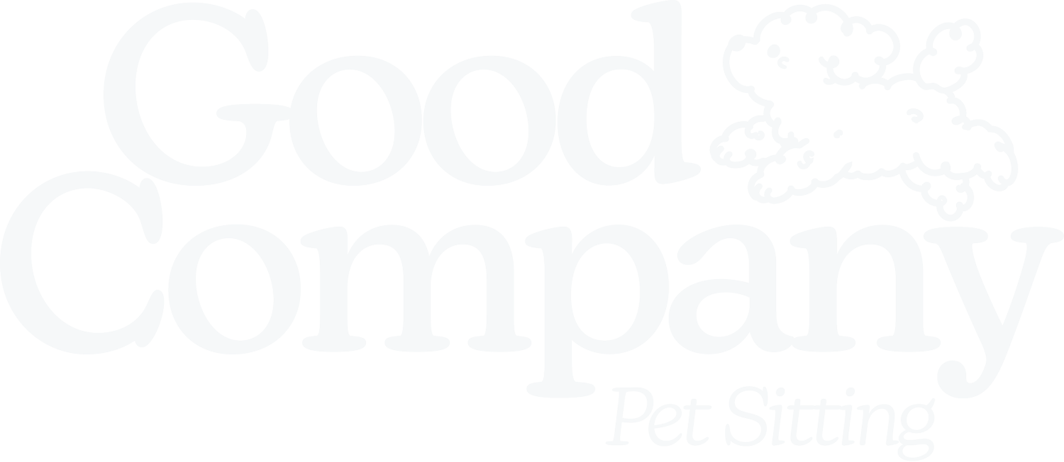 Scottsdale Pet Sitter