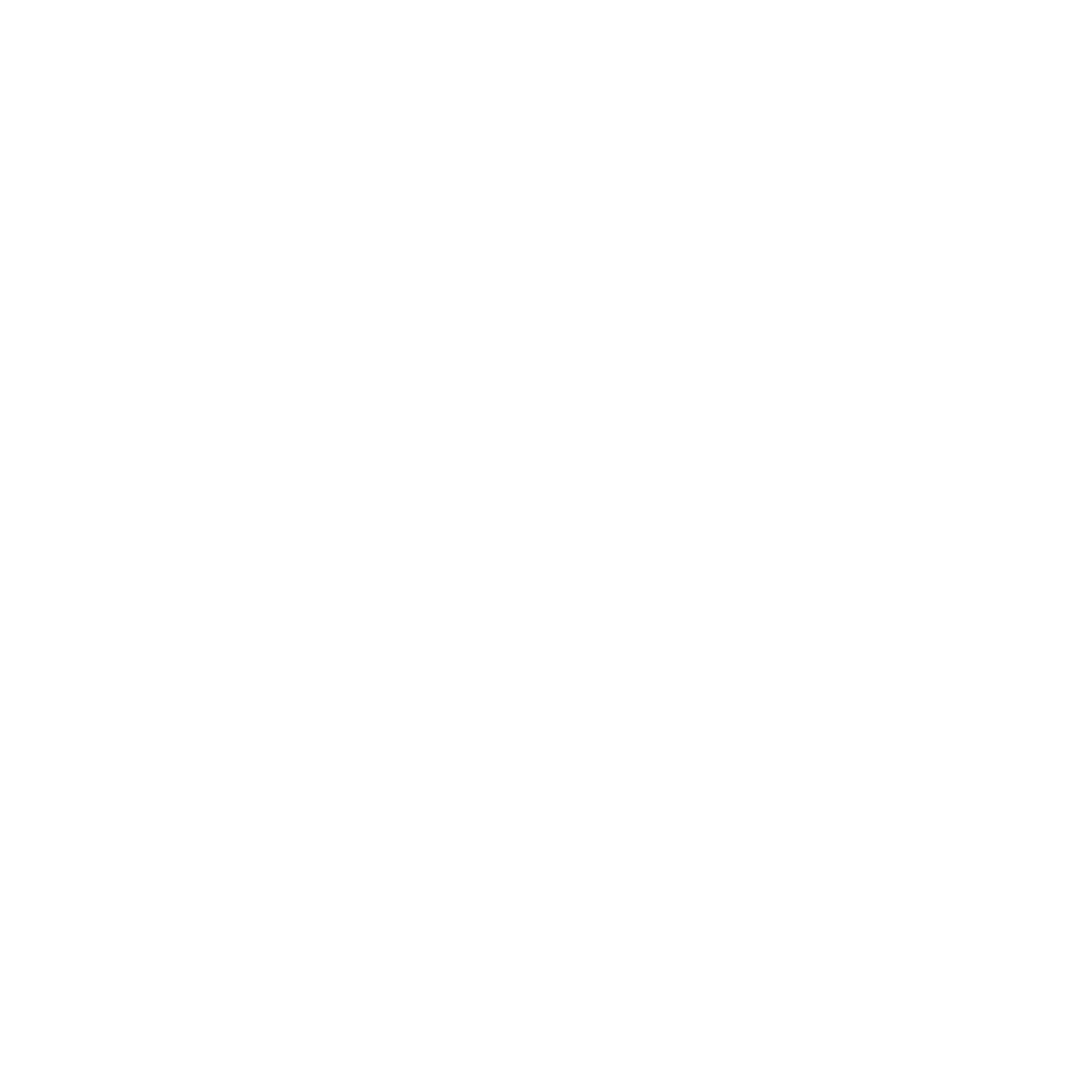 Black and white icon of a magnifying glass over a document.