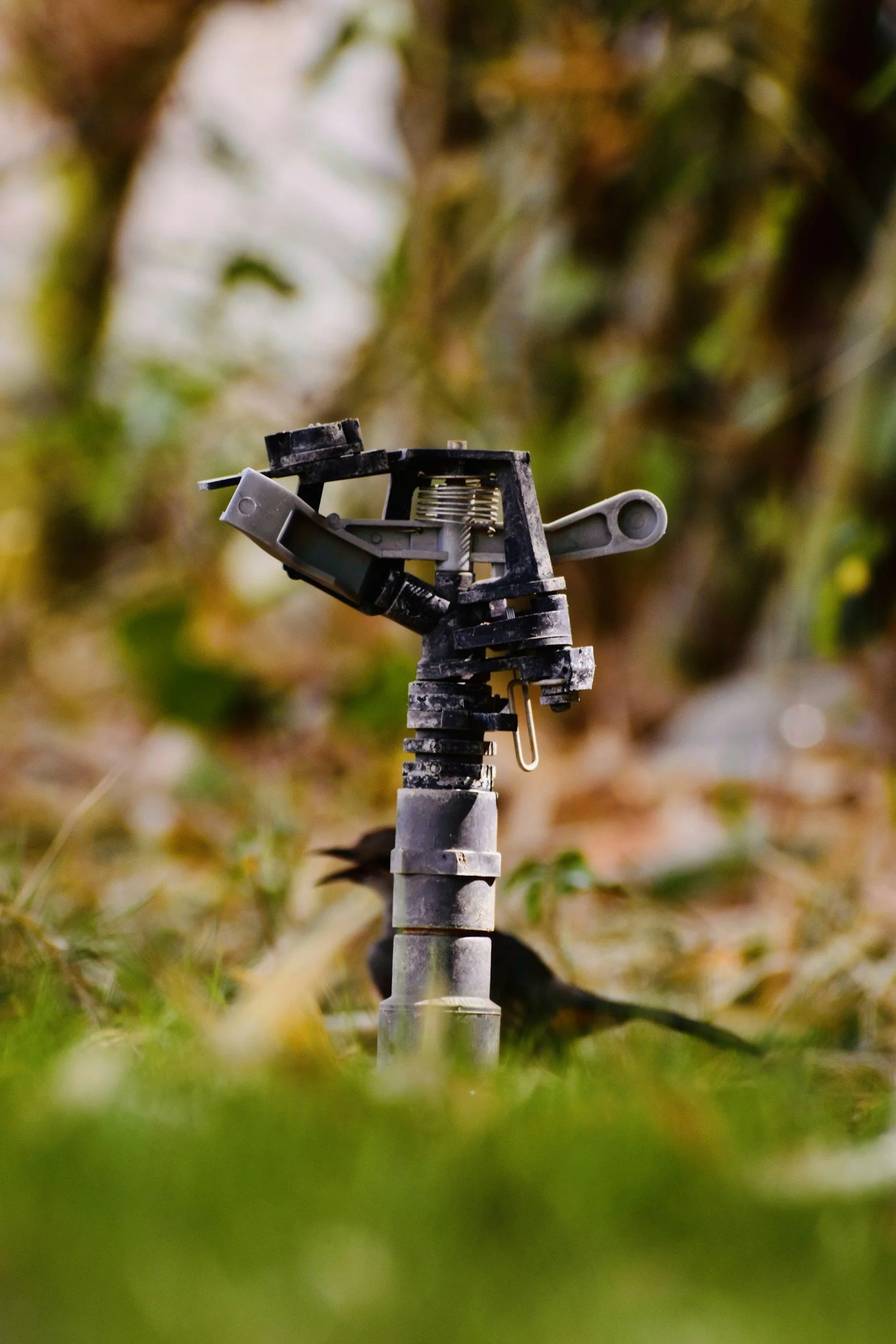 Close-up of an irrigation sprinkler in a field with blurred green foliage in the background.