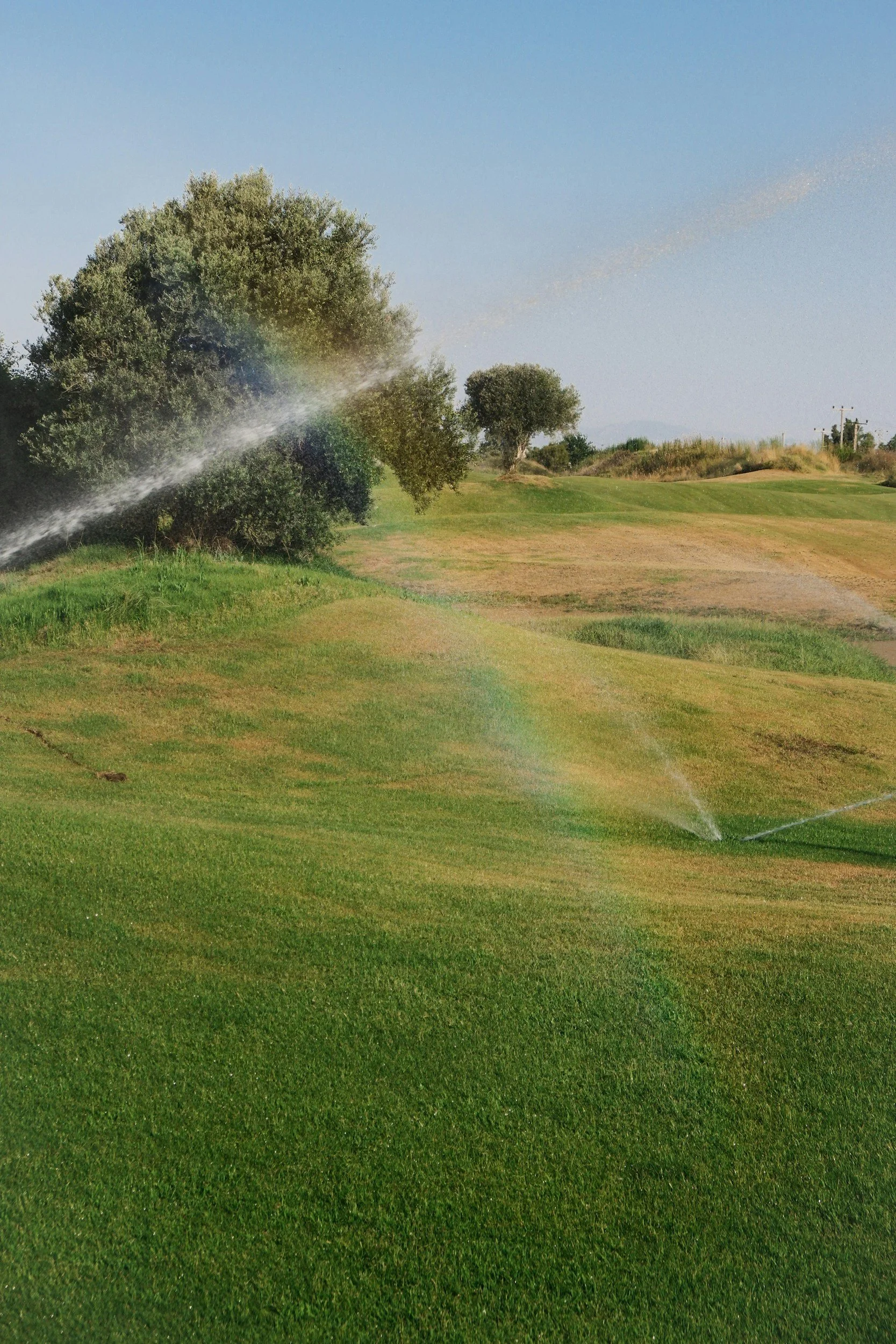 High-quality residential irrigation installation completed by our team in Toronto
