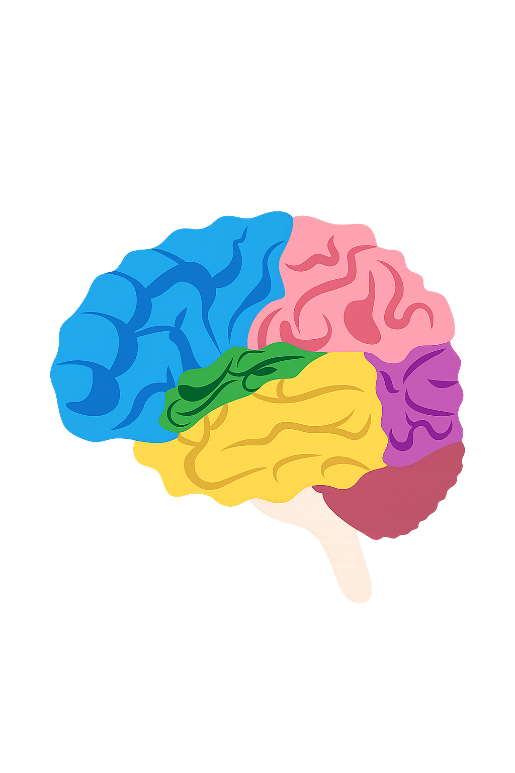 Focus Daily: Brain Training 