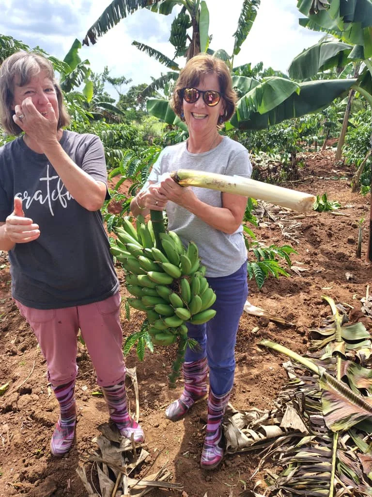 Two women standing in a banana plantation, one holding a large bunch of bananas and the other touching her face, both wearing colorful socks, with banana plants and green foliage in the background.