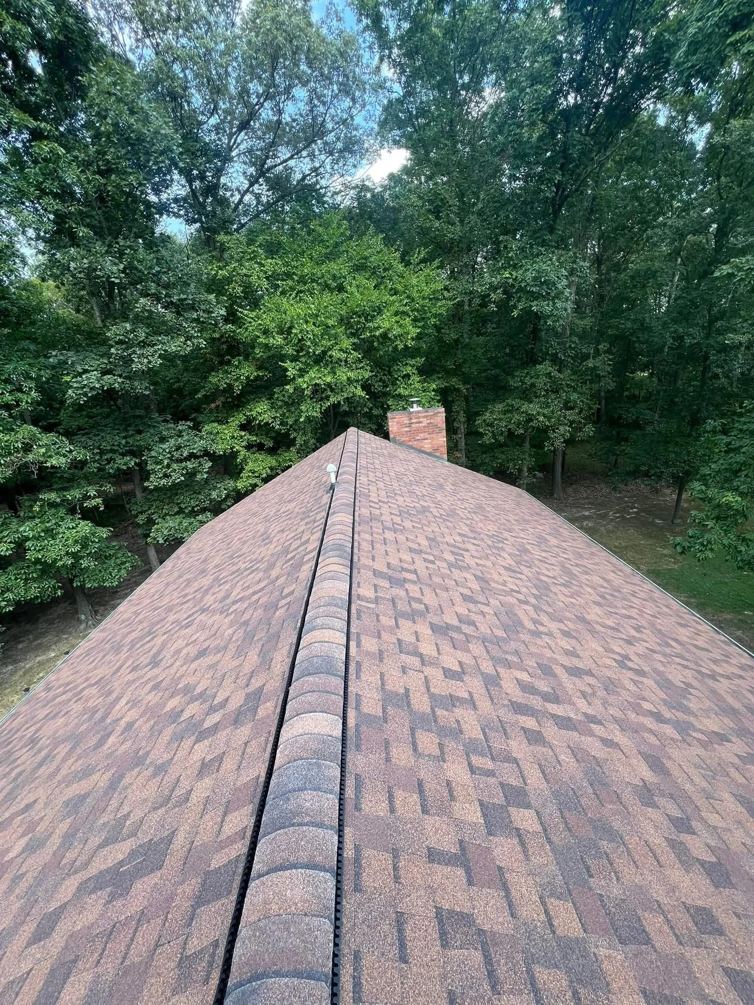 View from the roof of a house showing the shingled peak with a chimney, surrounded by tall green trees and a partial blue sky.