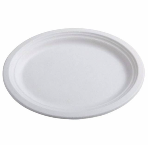 Sugarcane Oval Plate