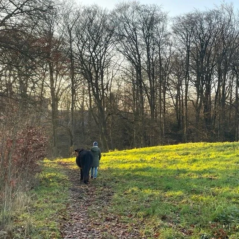 Drei Wege der Verbindung