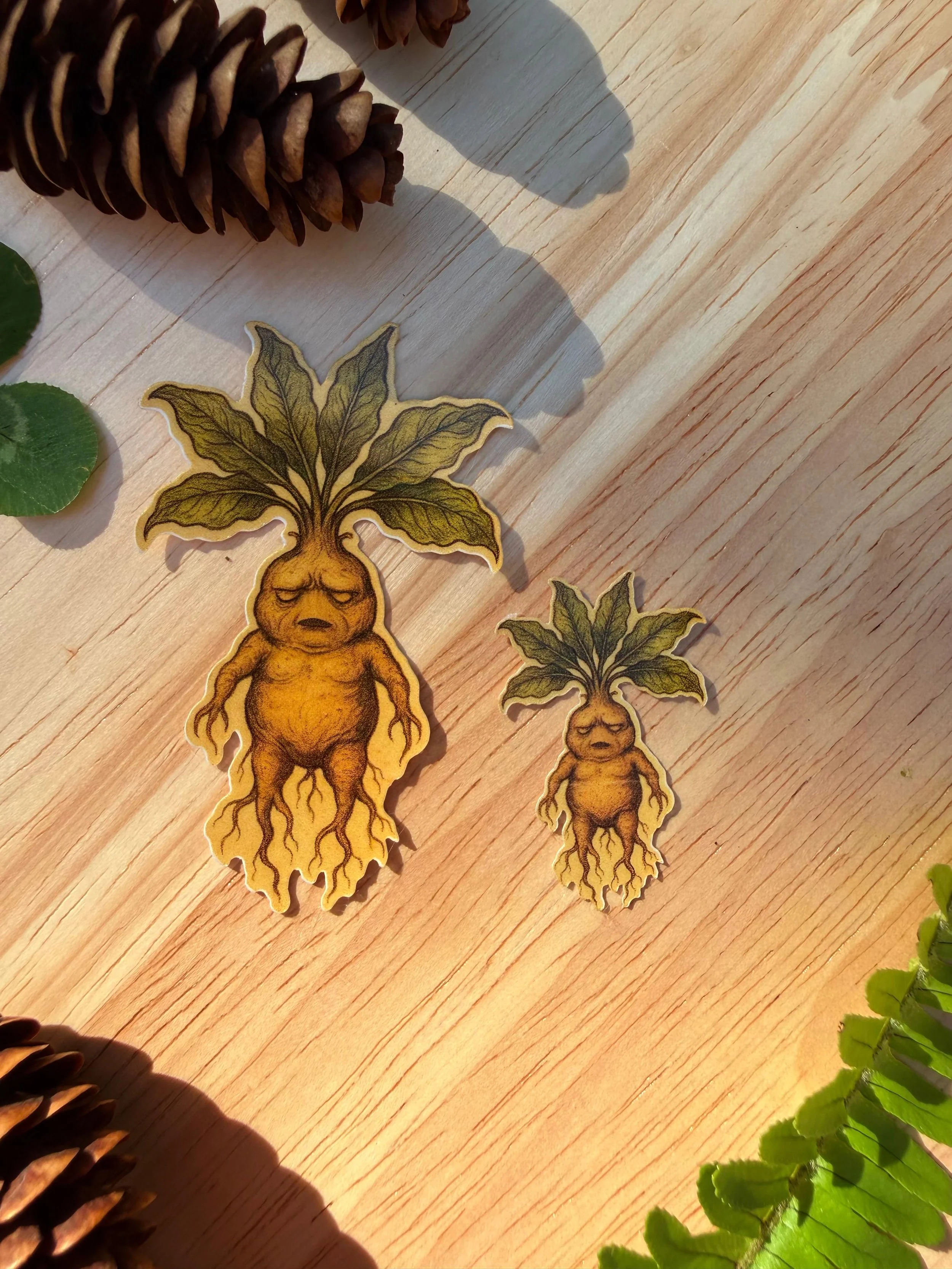 mandrake - two sizes.jpeg