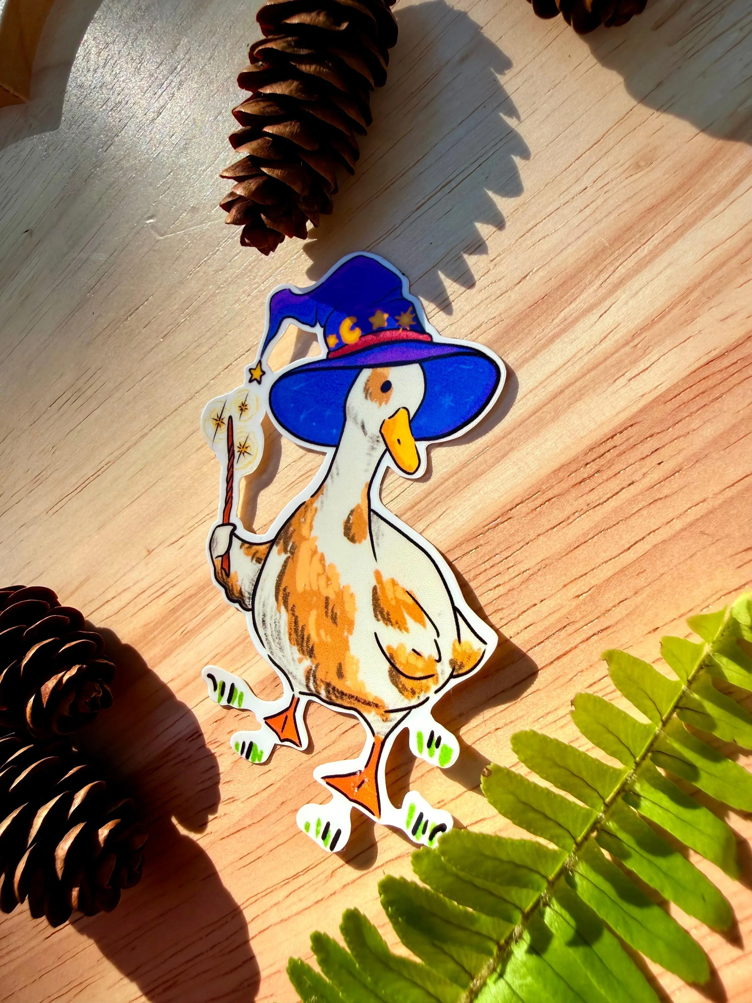 wizard duck 2.jpeg