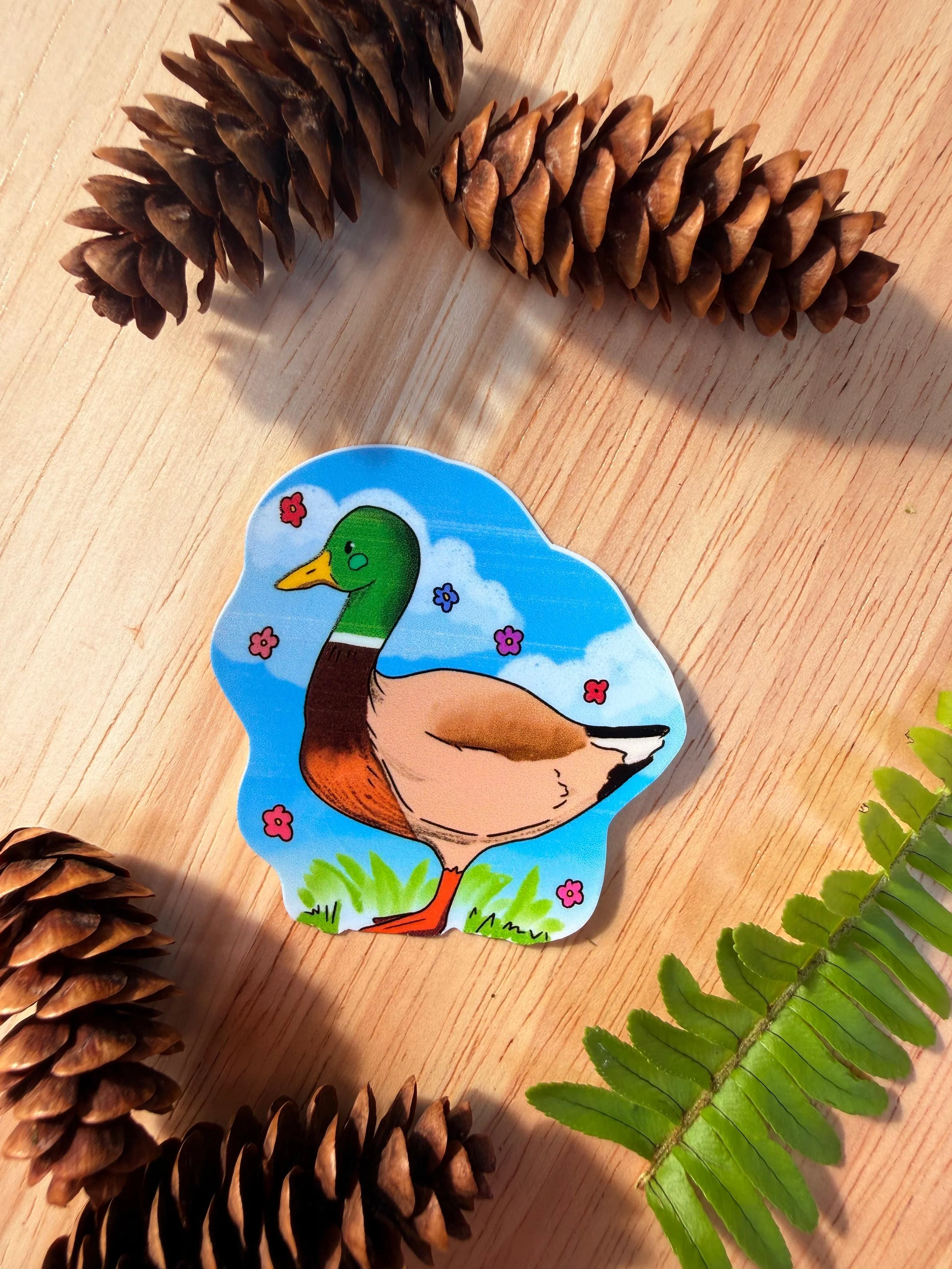 Duck w background - mallard 1.jpeg