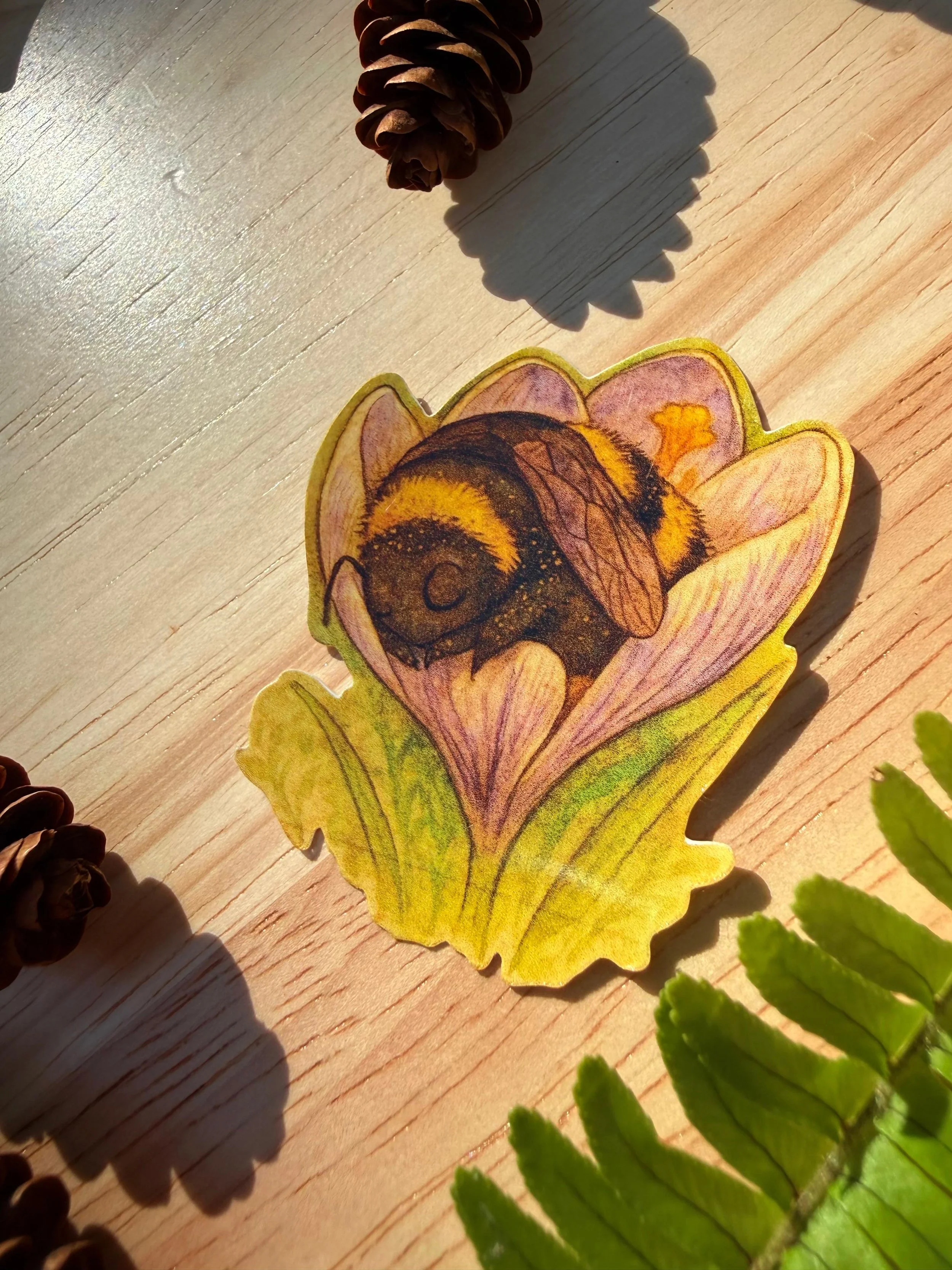 Sleeping Bee.jpeg