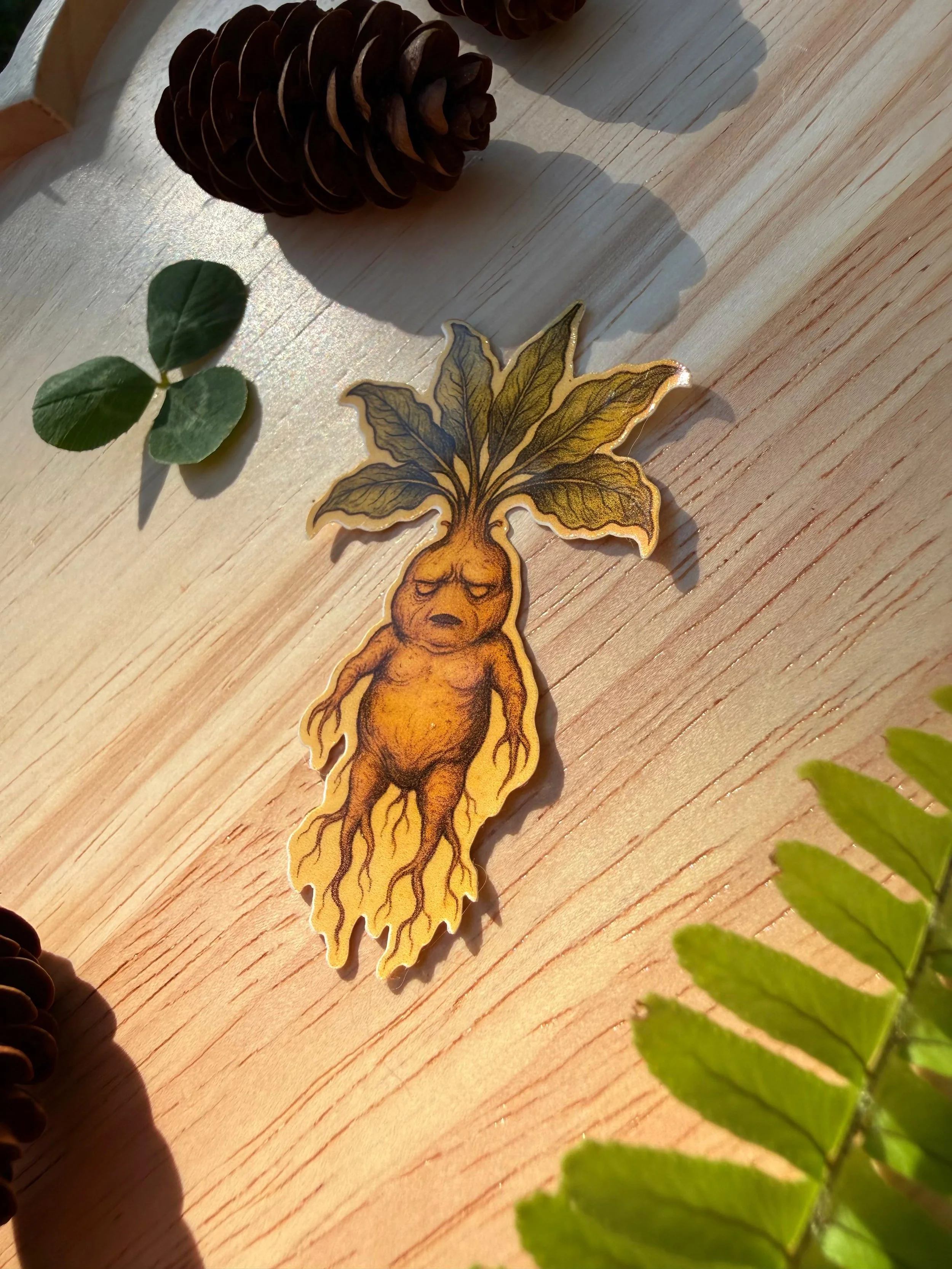 mandrake1.jpeg
