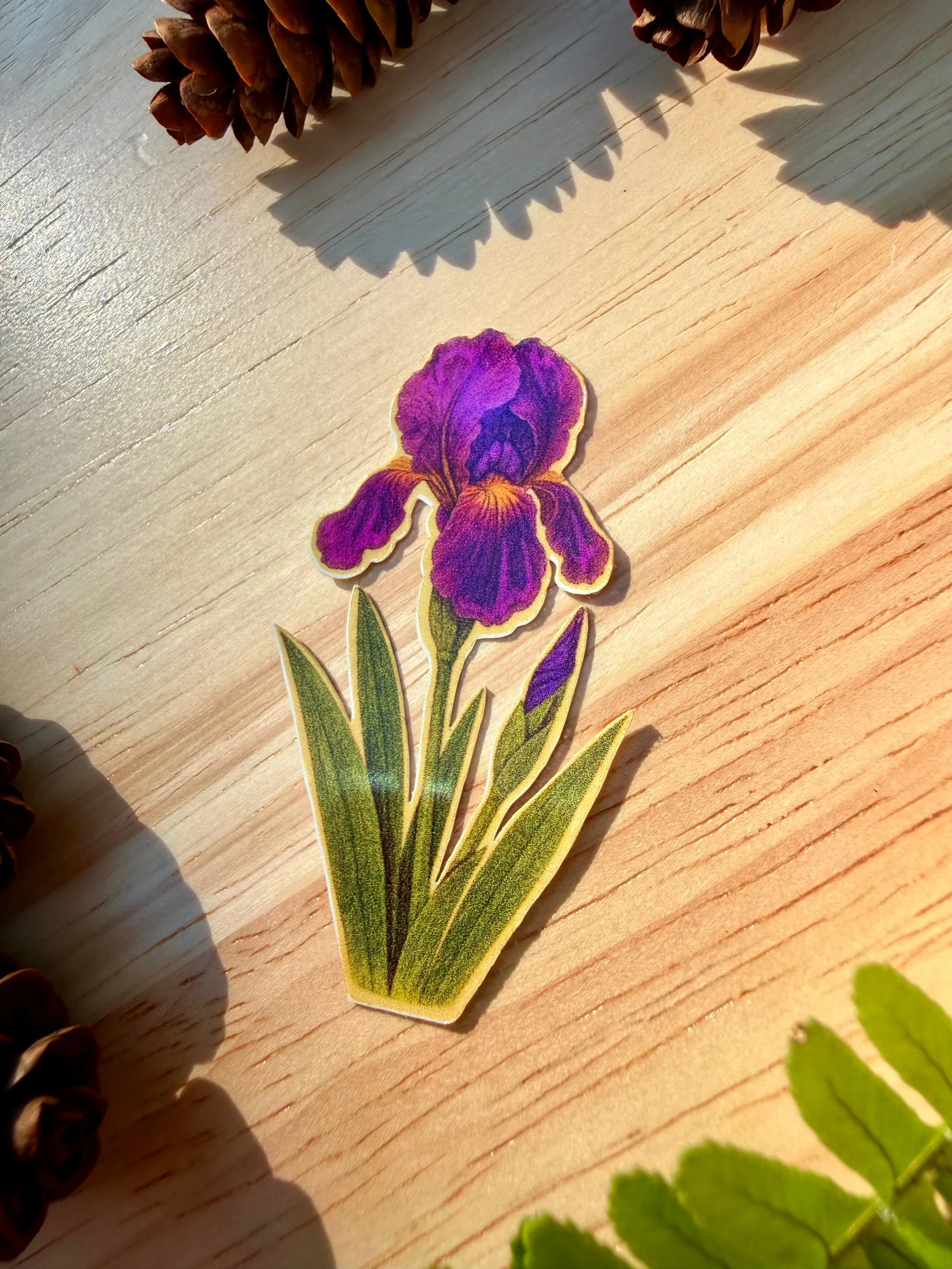 Iris 3.jpeg