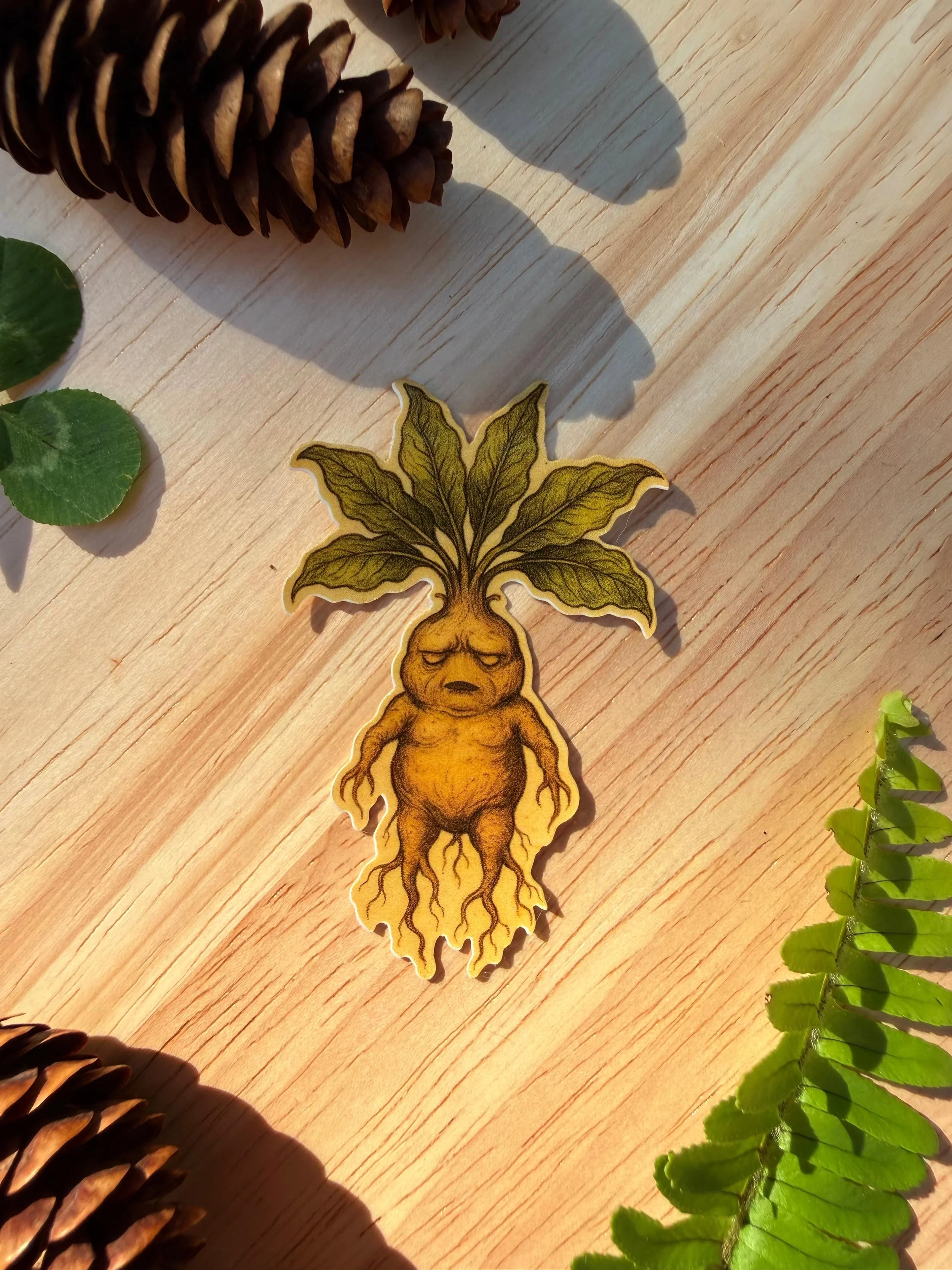 mandrake.jpeg