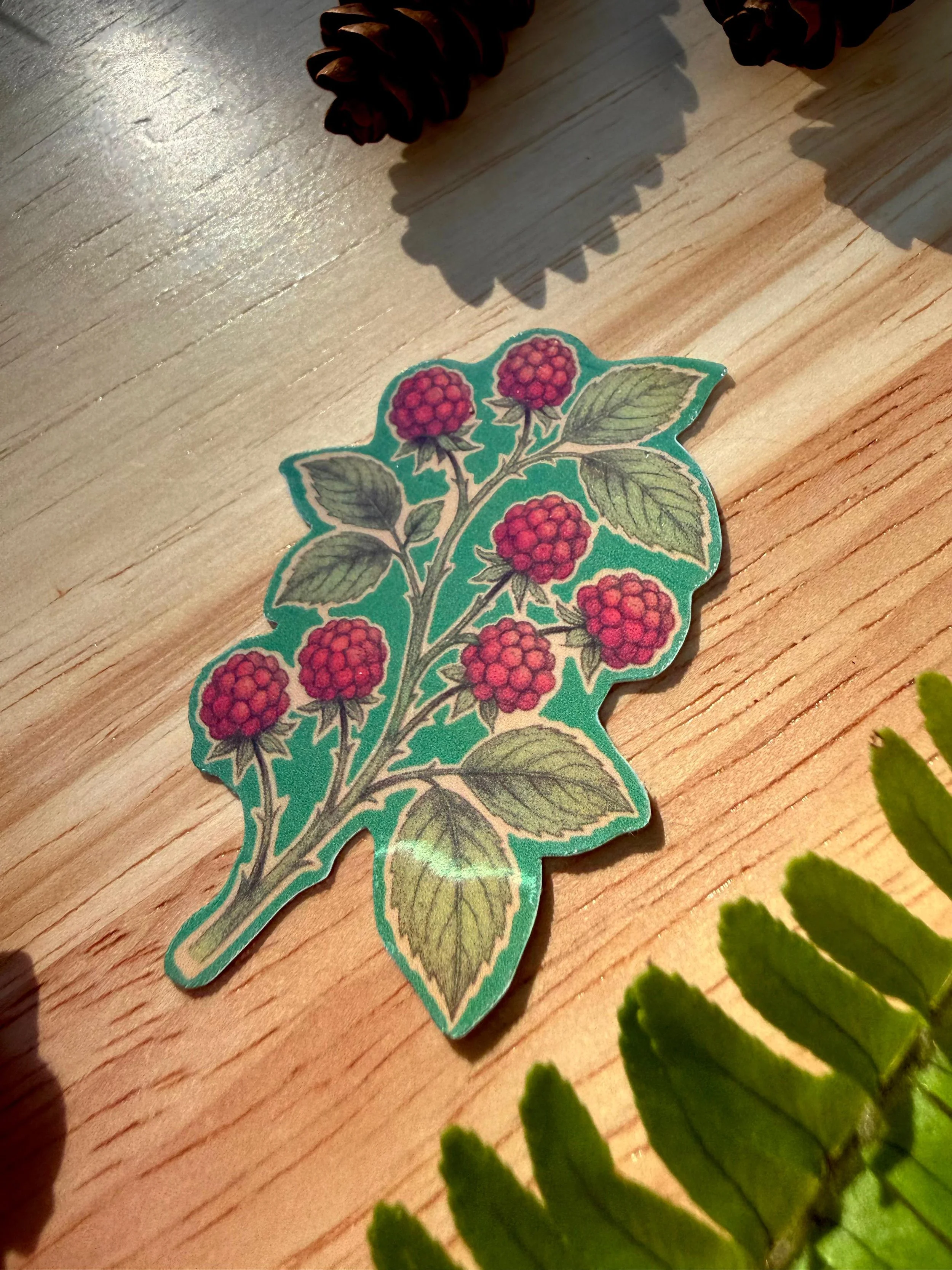 Razberries1.jpeg