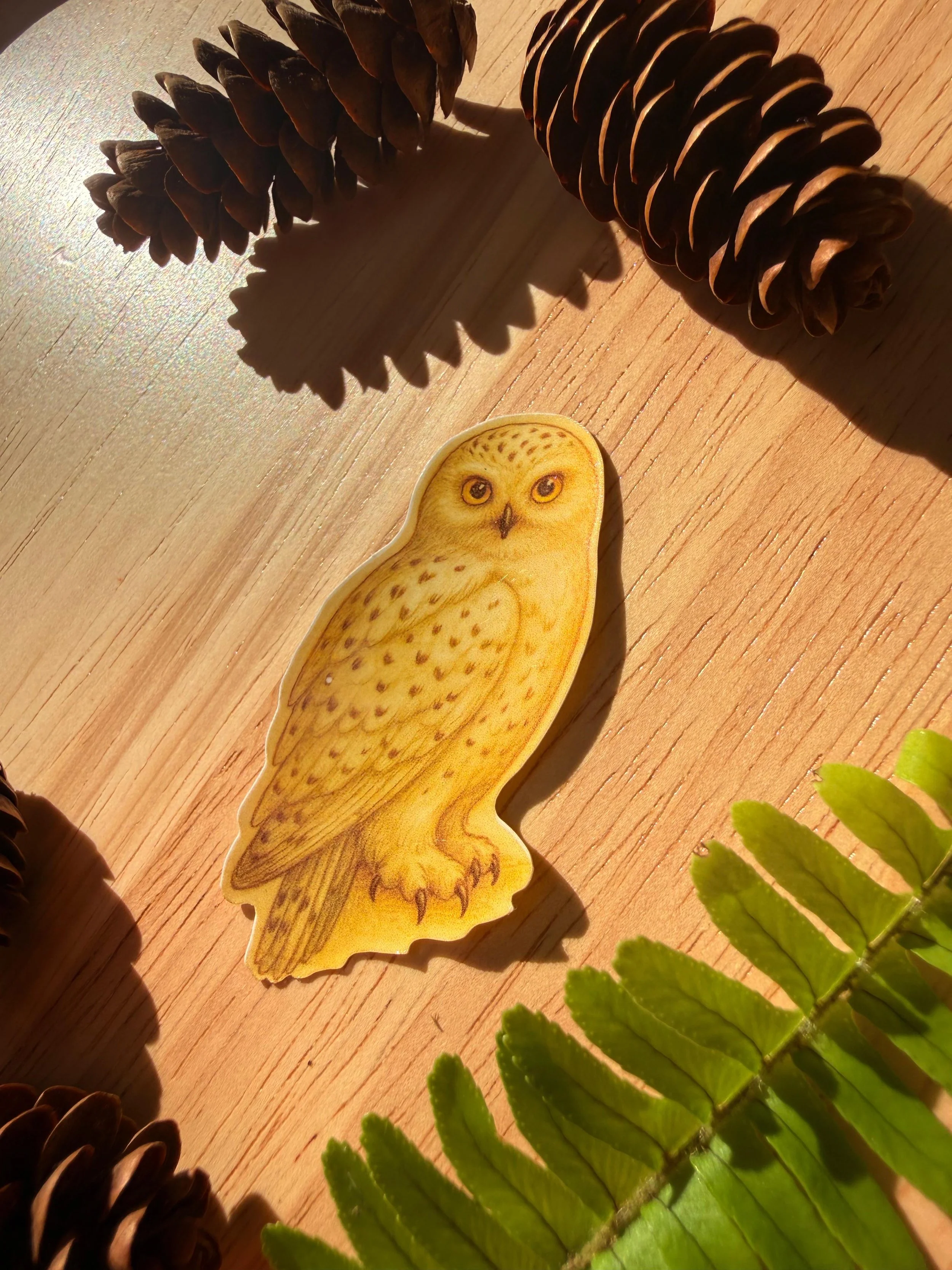 Hedwig 2.jpeg