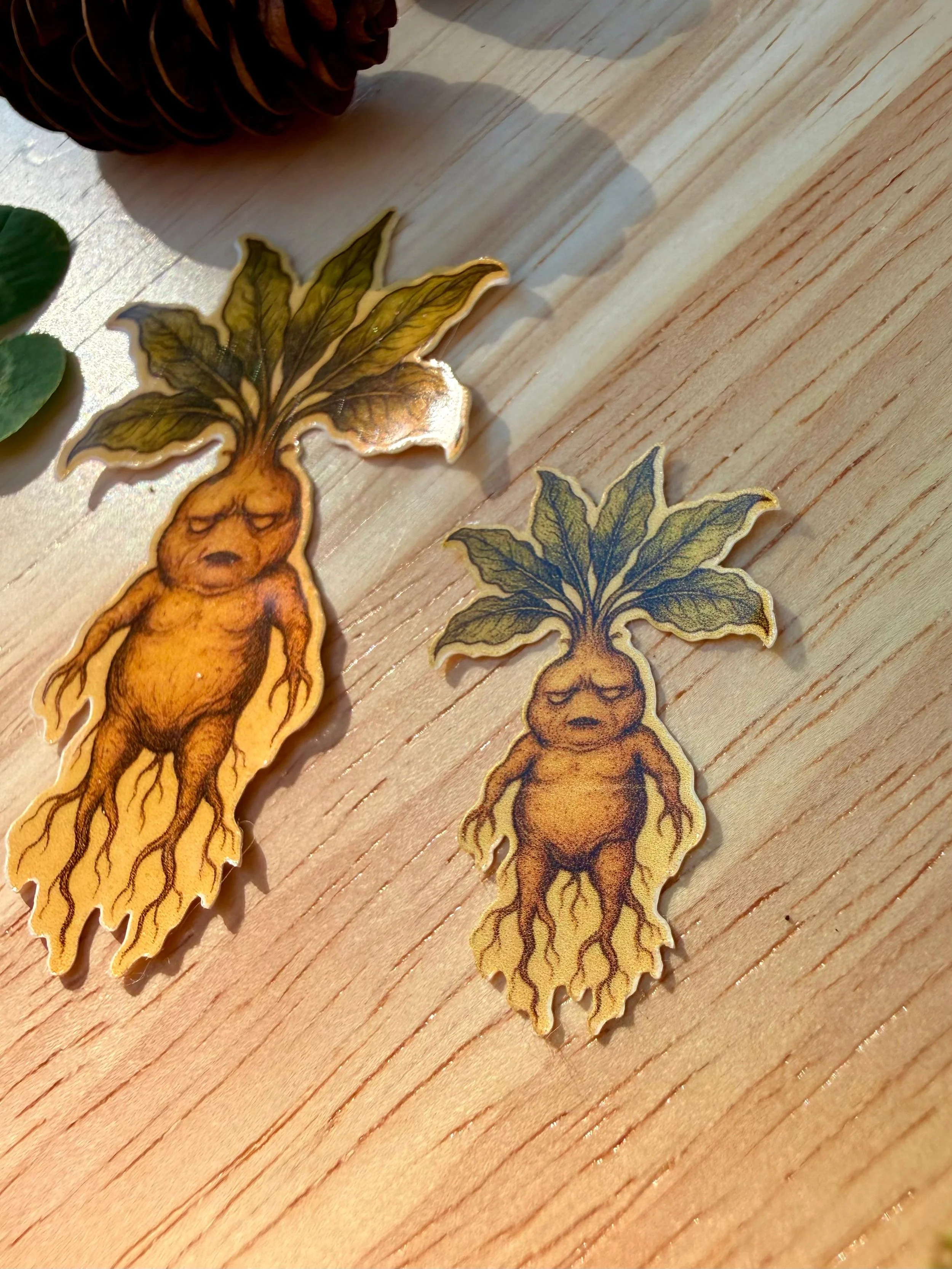 mandrake - two sizes1.jpeg