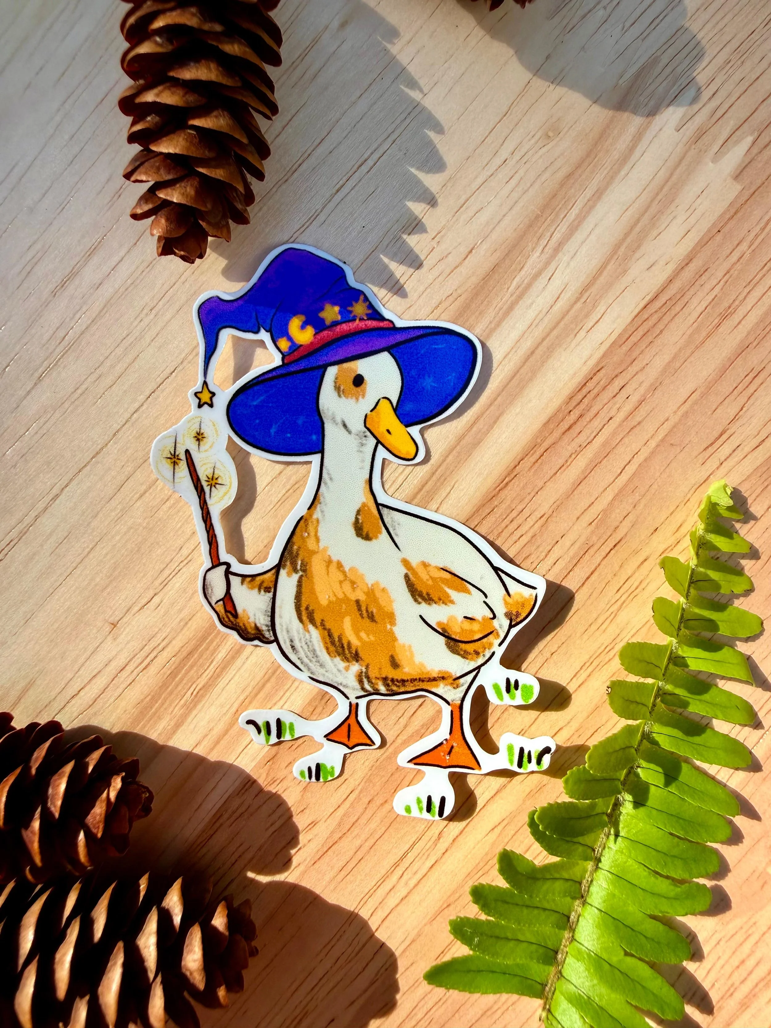 wizard duck 1.jpeg
