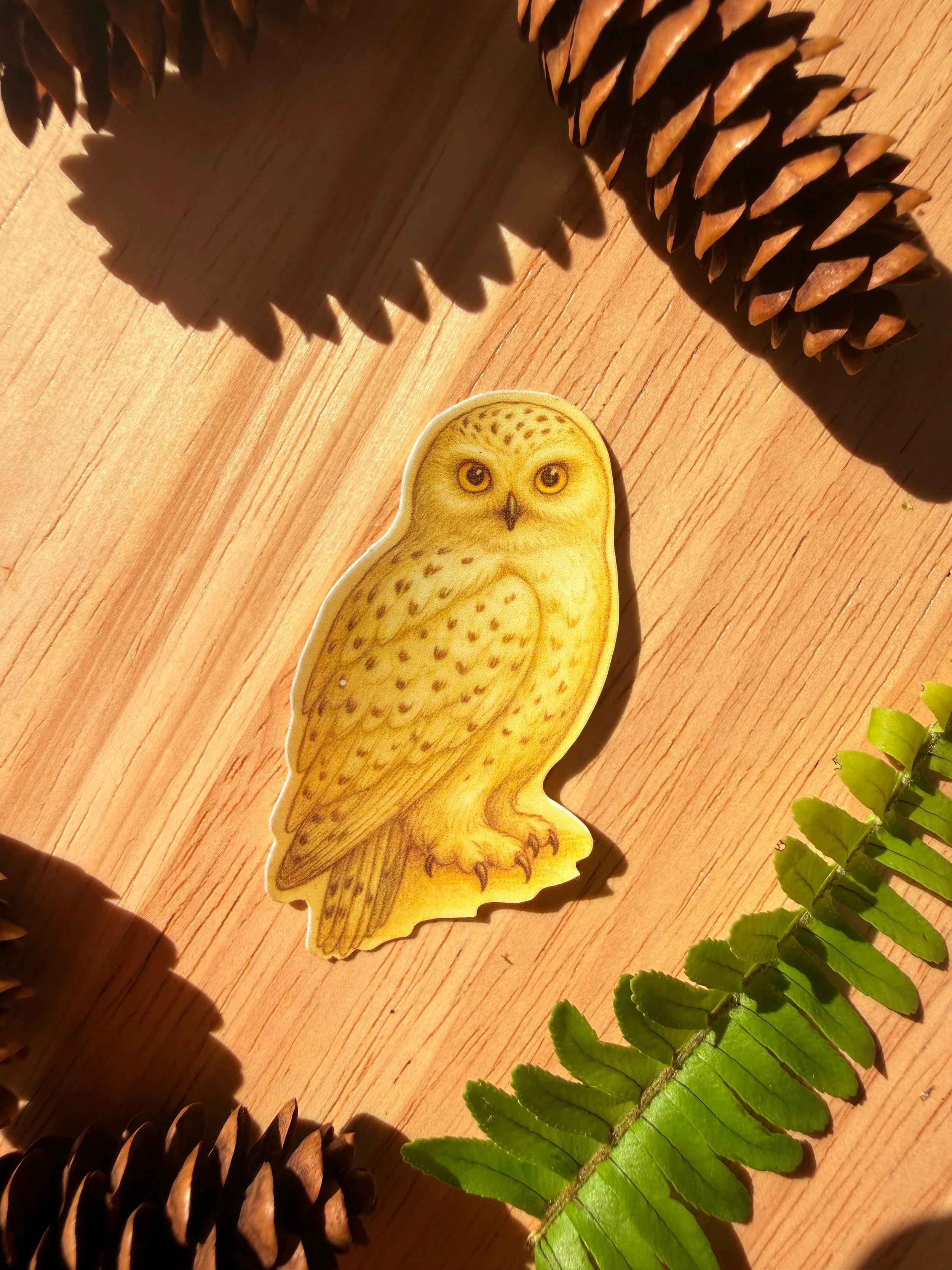 Hedwig.jpeg