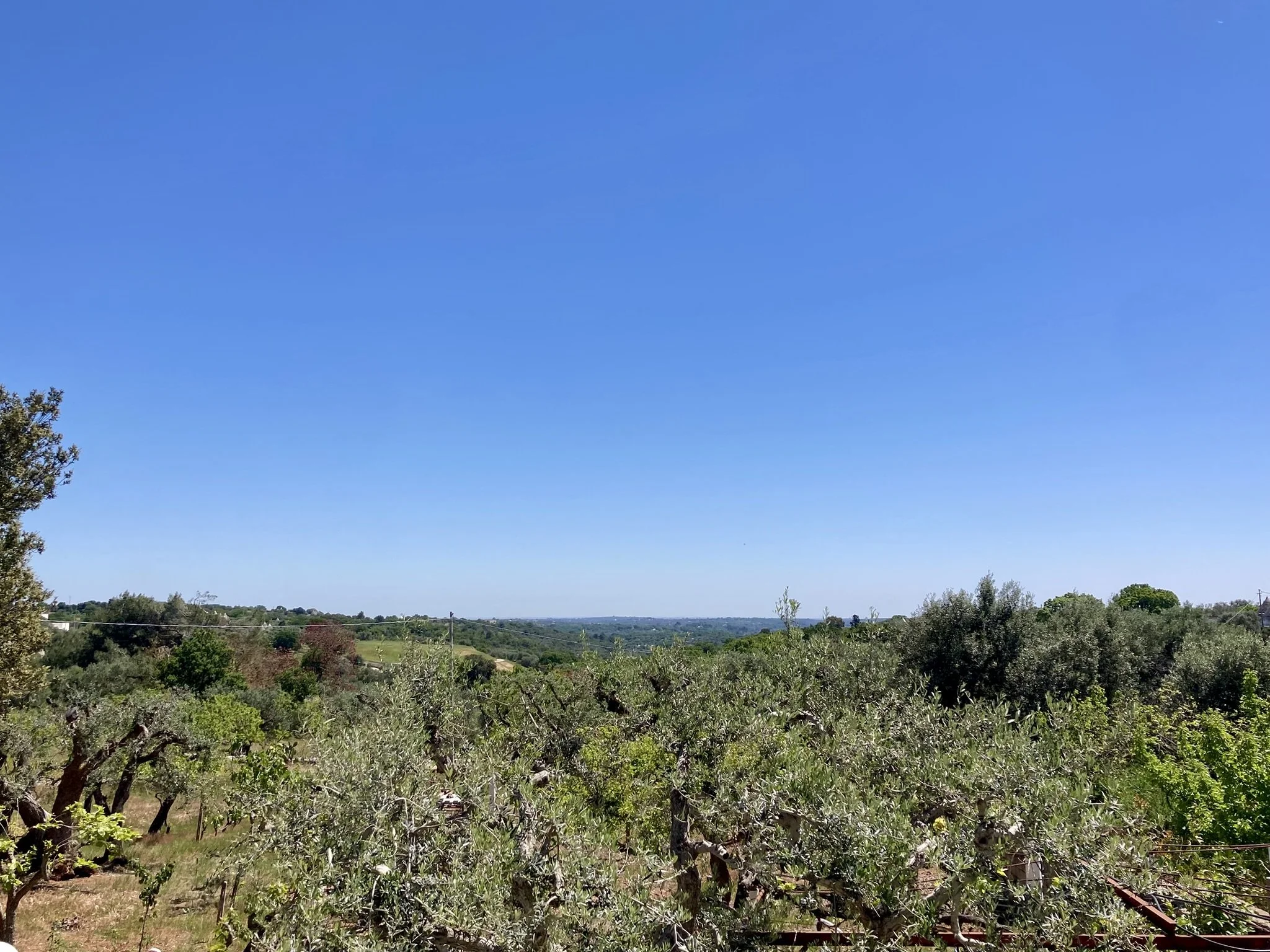 The  window view towards Ostuni