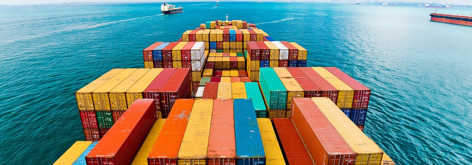 Supply Chain & Distribution Development