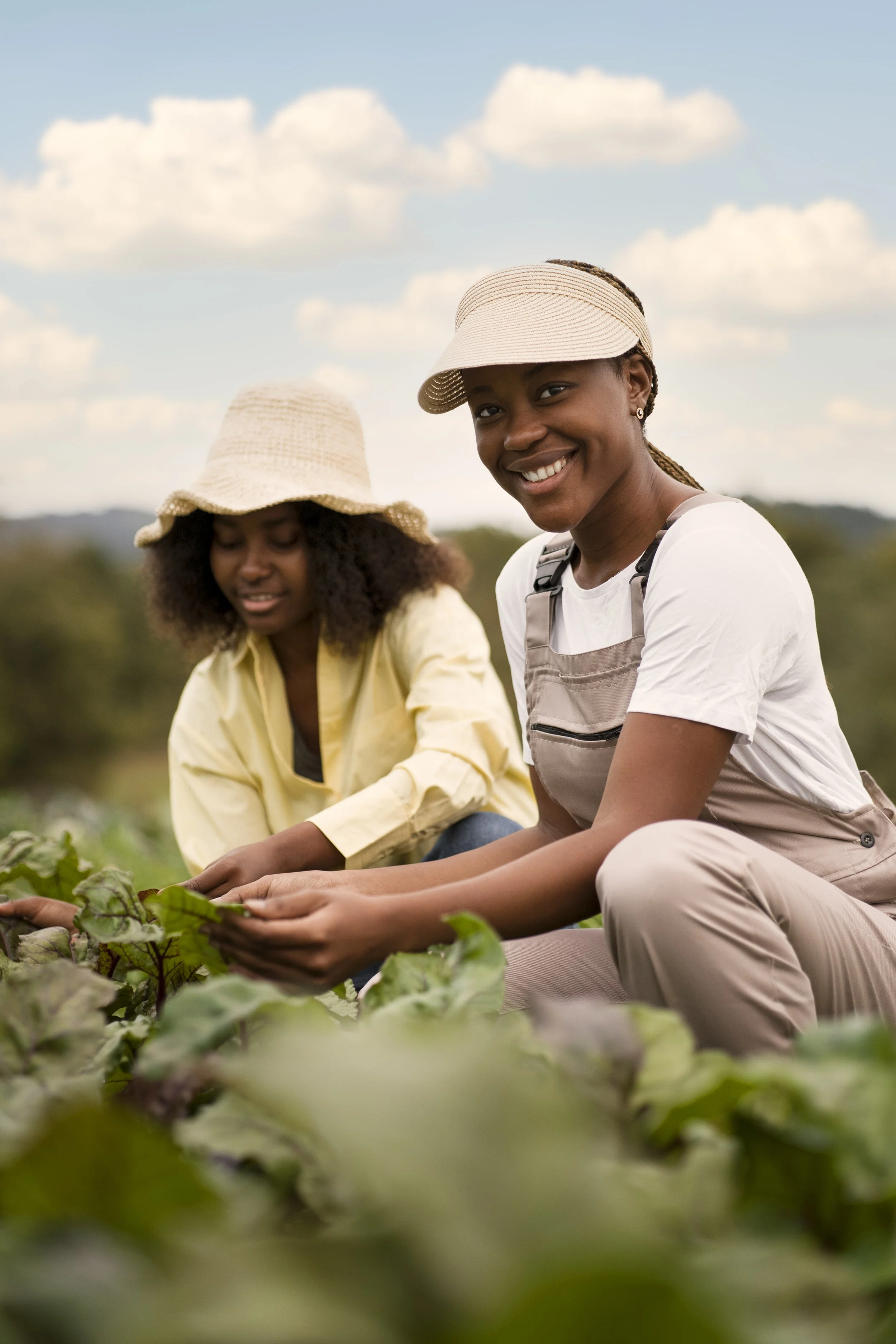 Crop Strategy & Agronomy